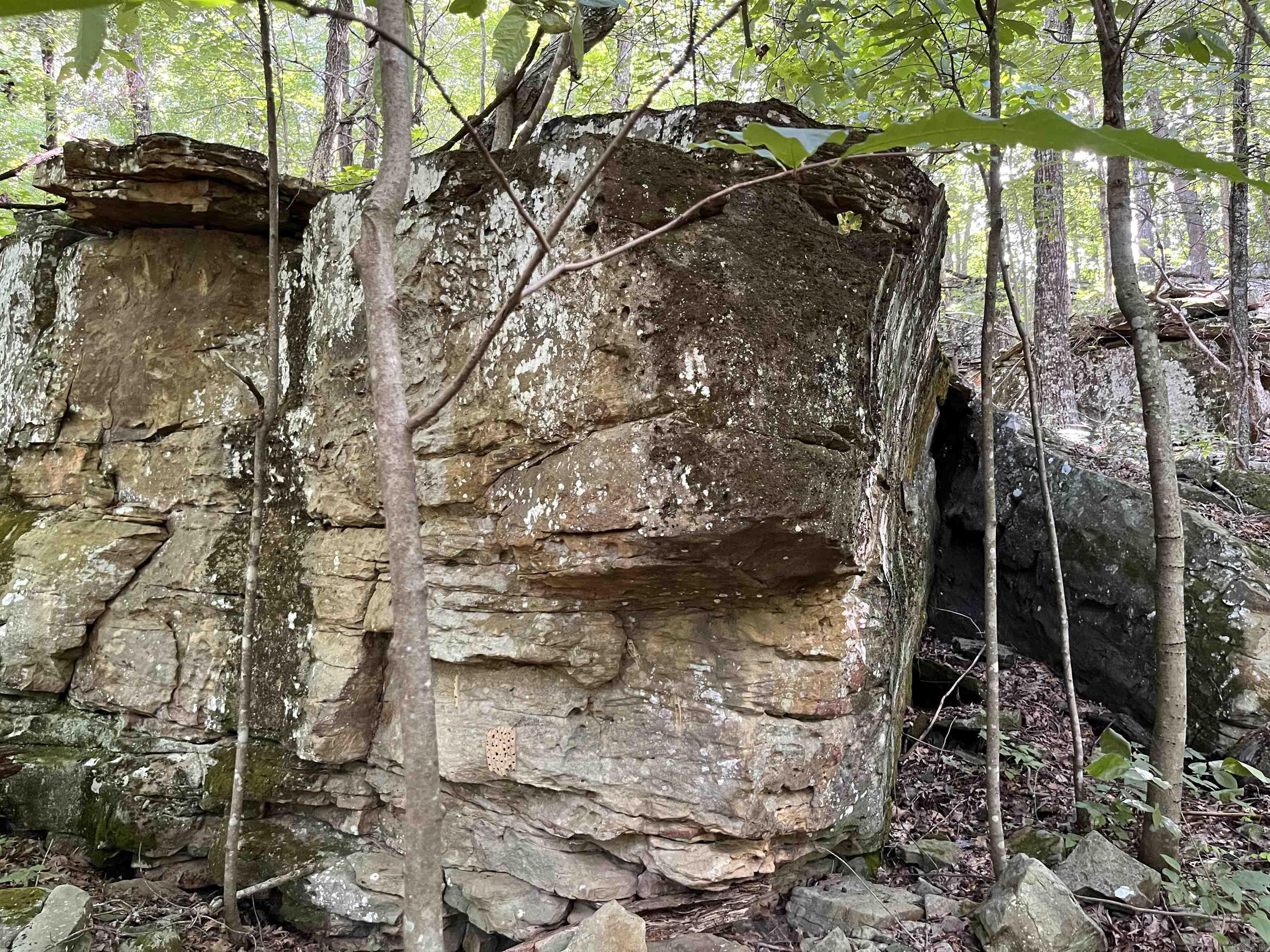 Metes & Bounds - Farm