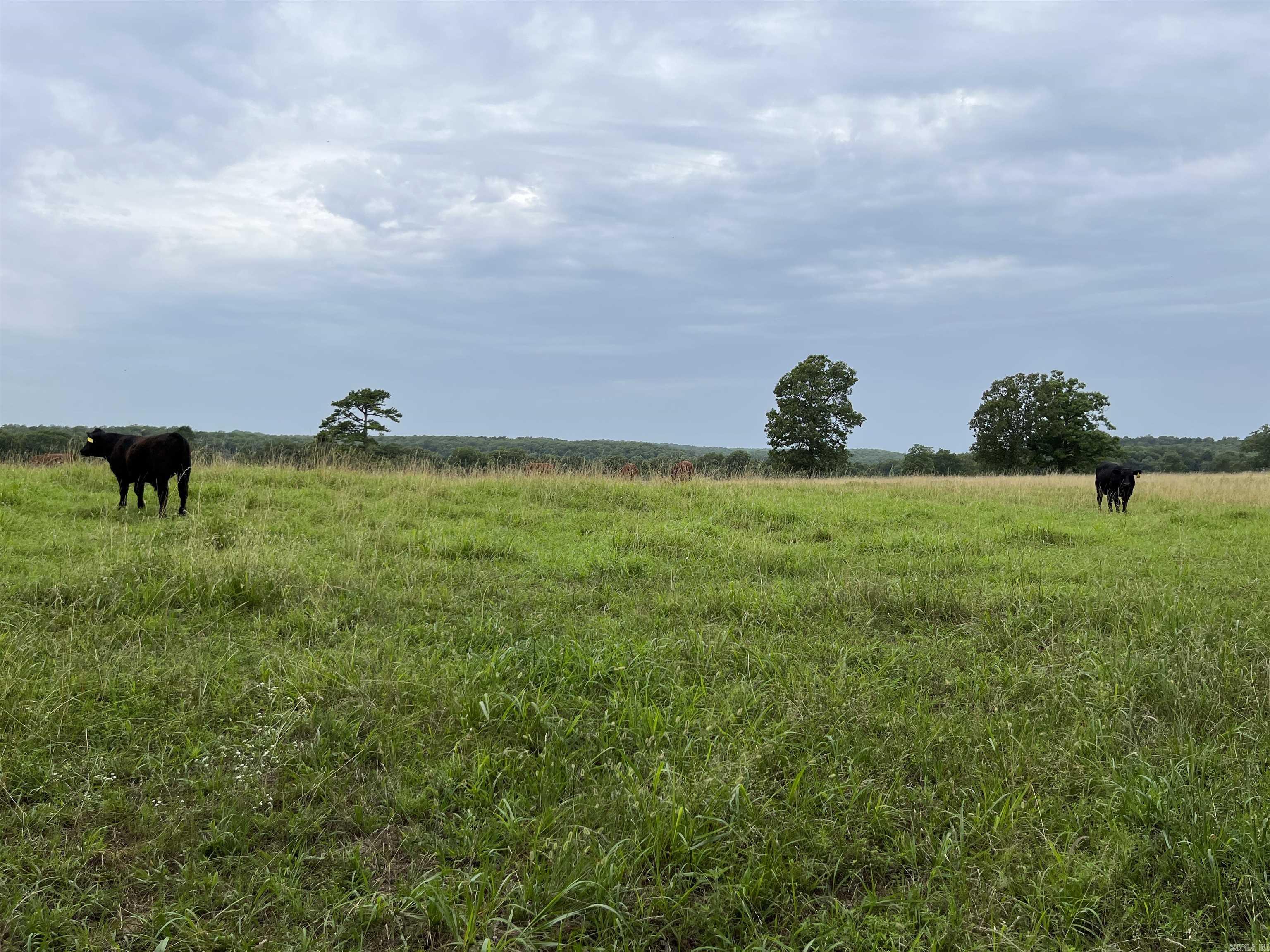 Metes & Bounds - Farm