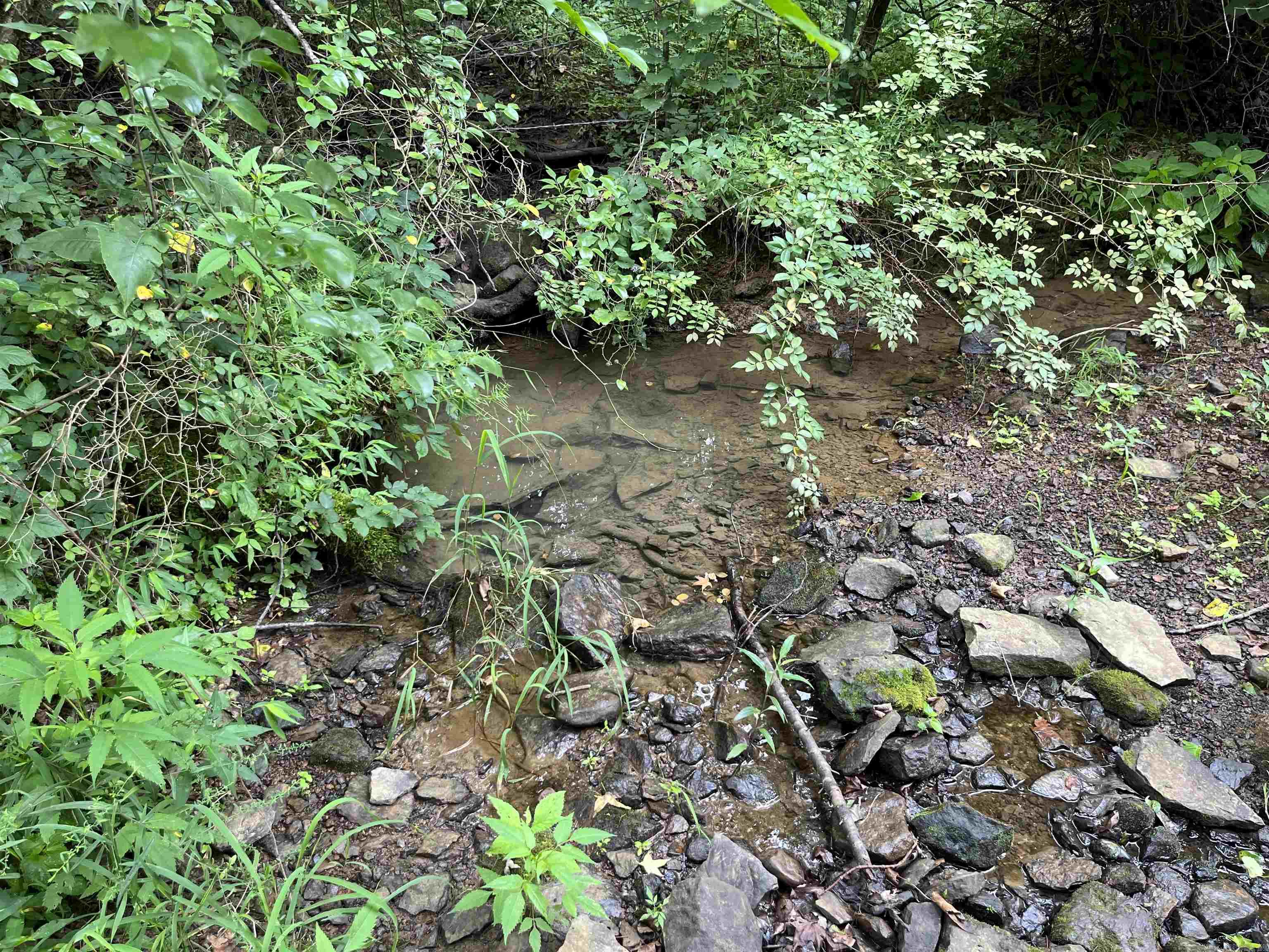 Metes & Bounds - Farm