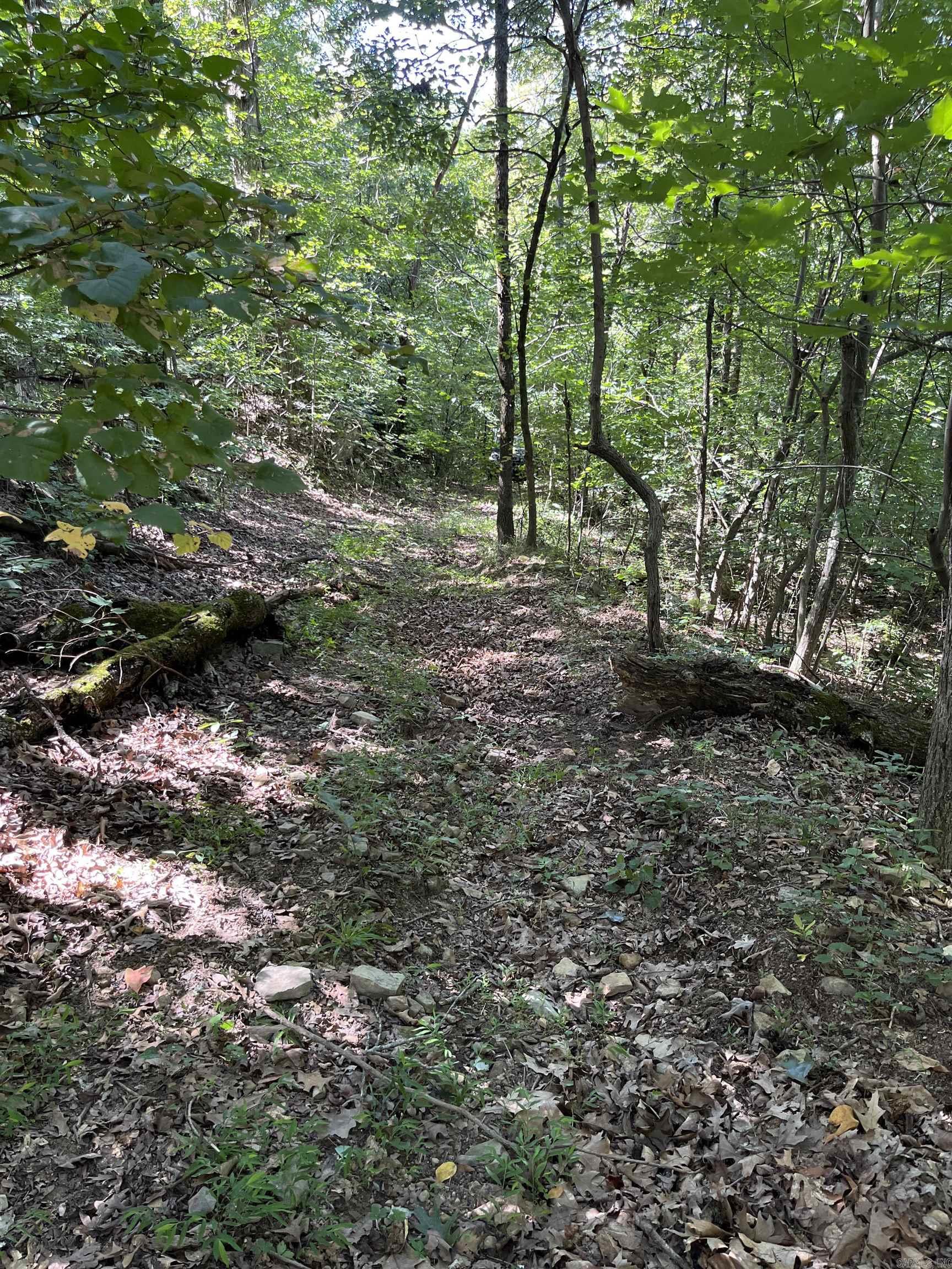 Metes & Bounds - Farm