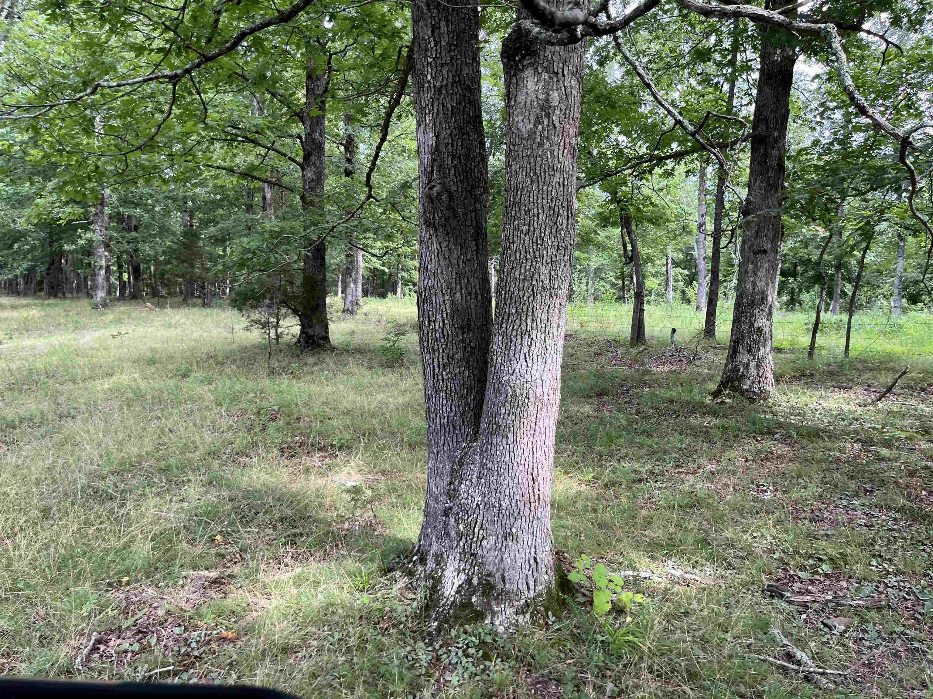 Metes & Bounds - Farm