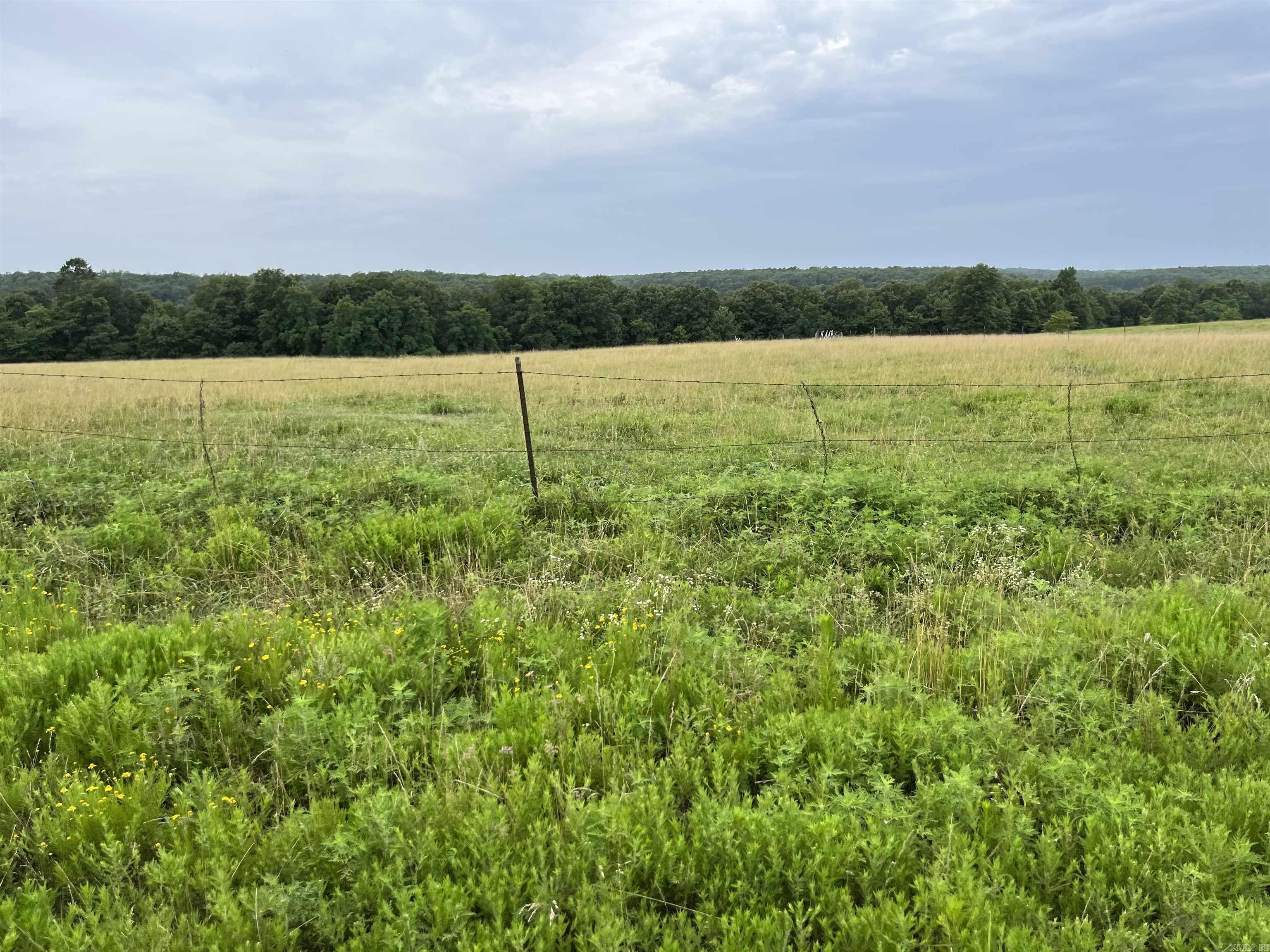 Metes & Bounds - Farm