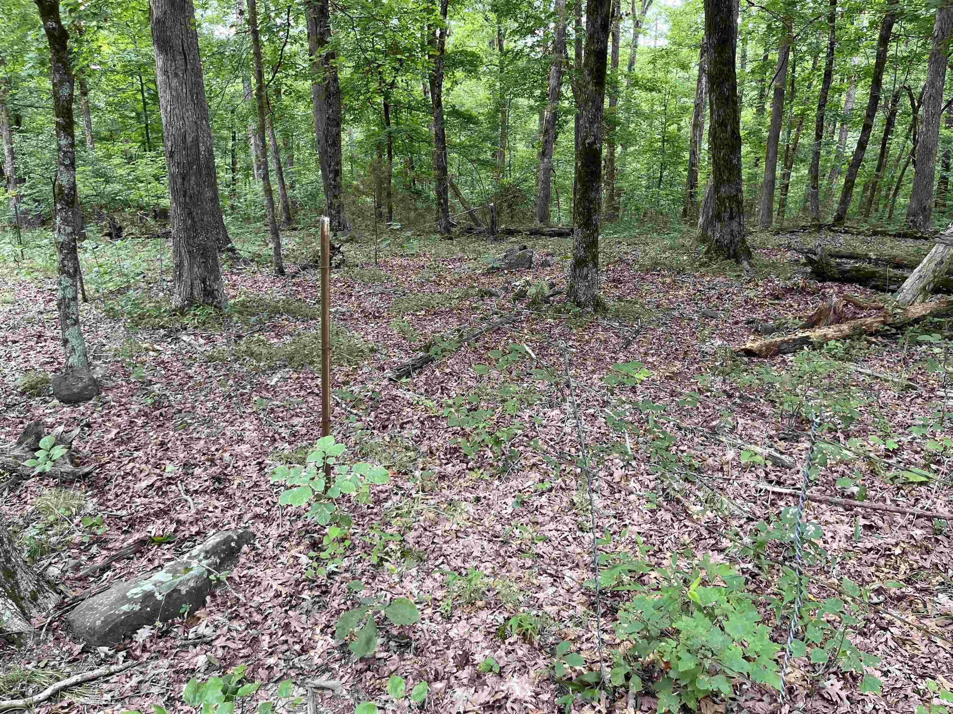 Metes & Bounds - Farm