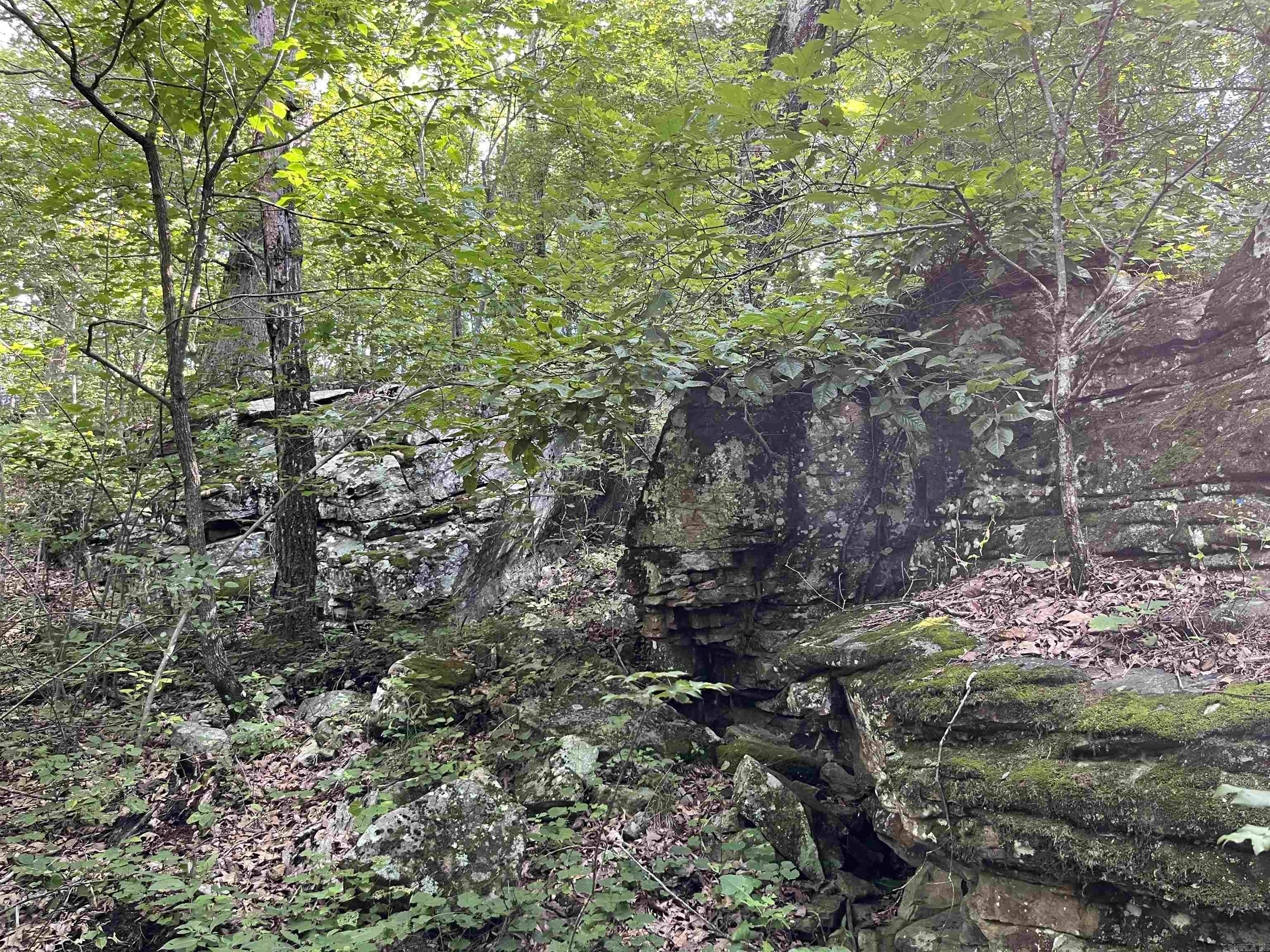 Metes & Bounds - Farm