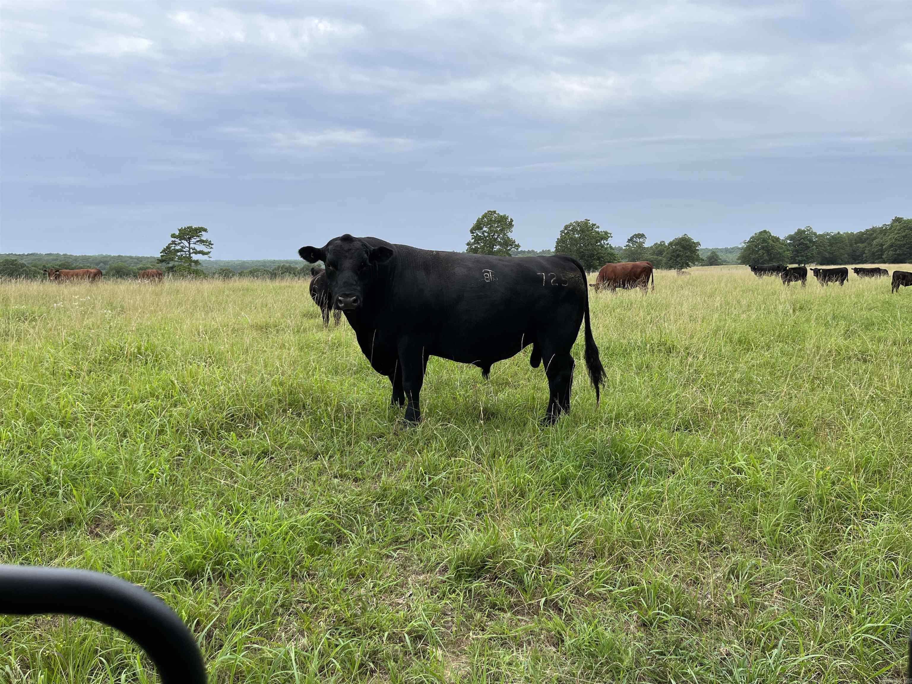 Metes & Bounds - Farm