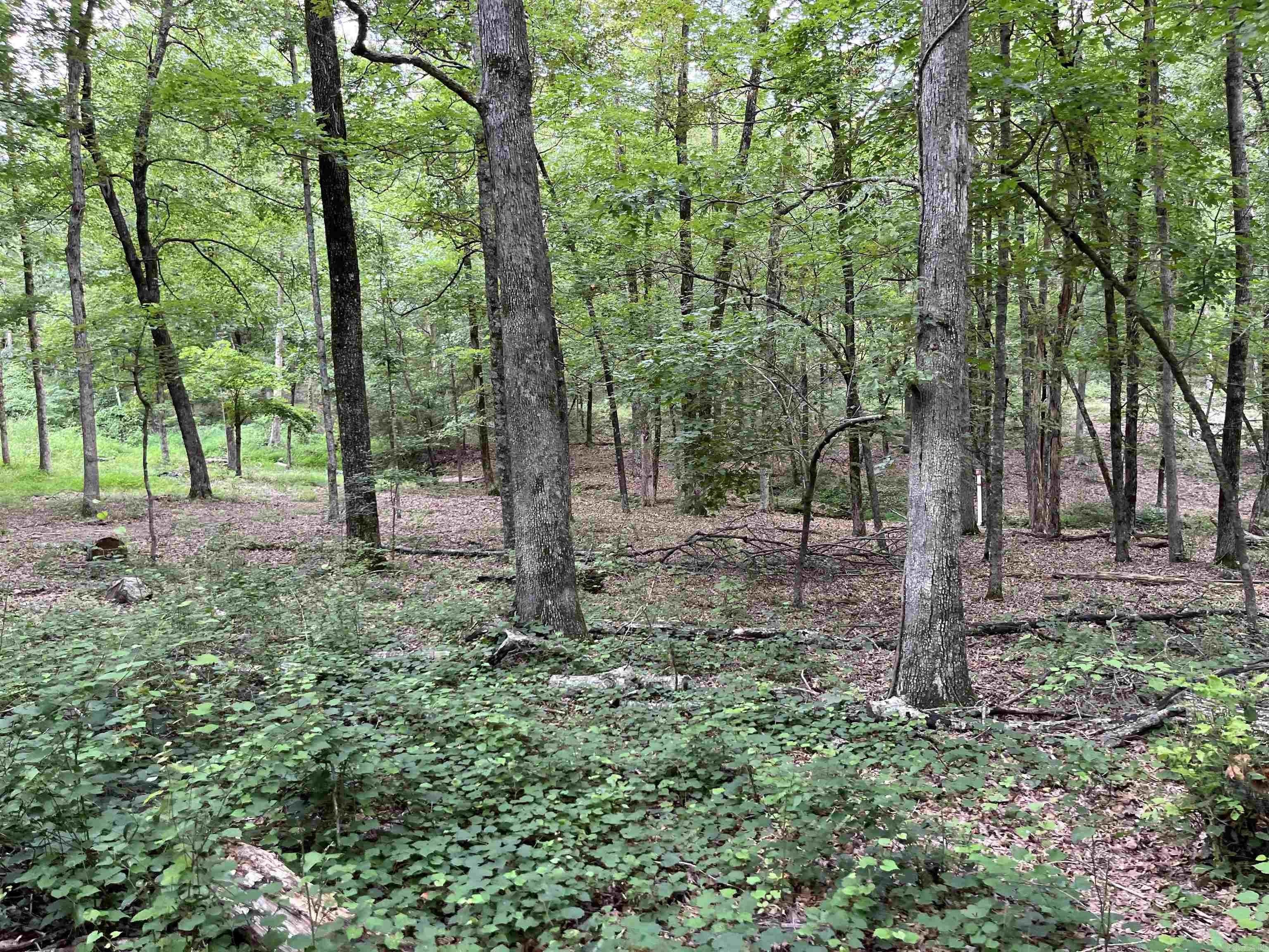 Metes & Bounds - Farm