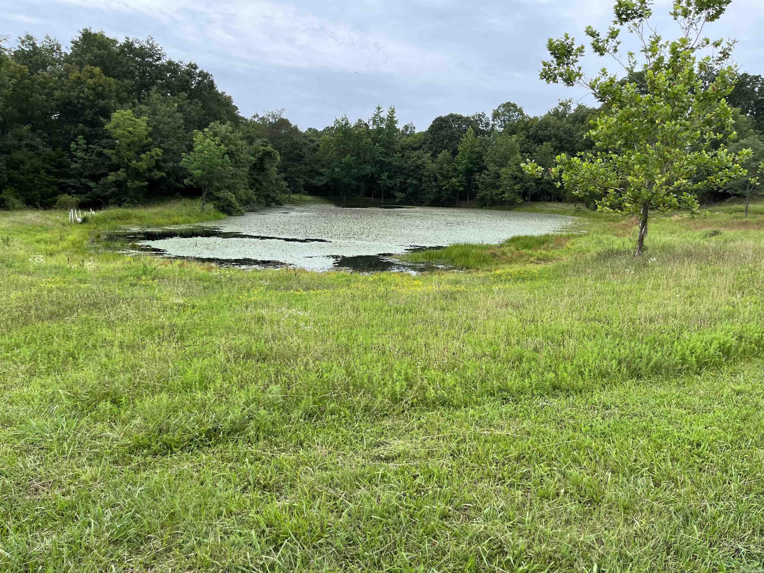 Metes & Bounds - Farm