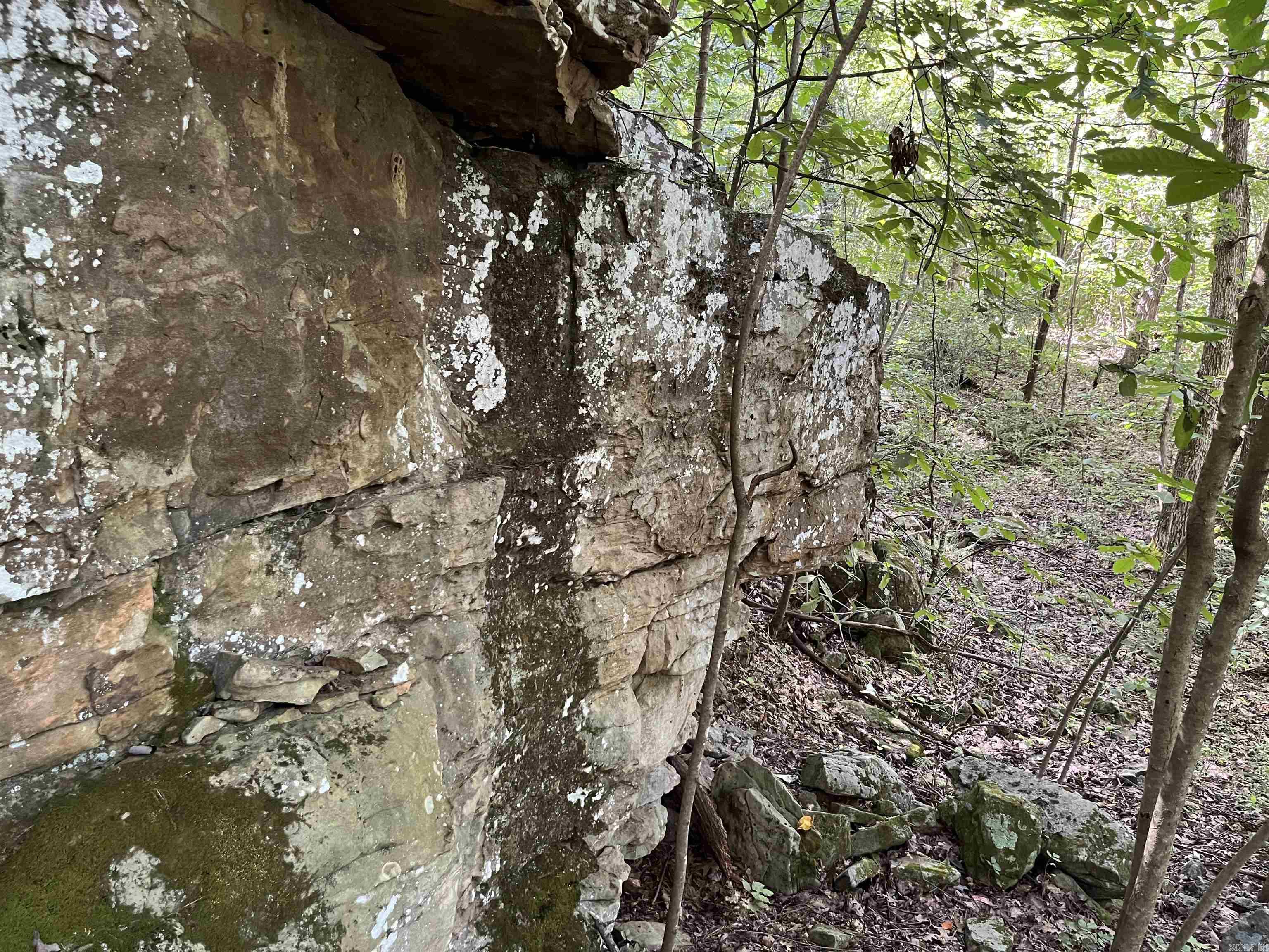 Metes & Bounds - Farm