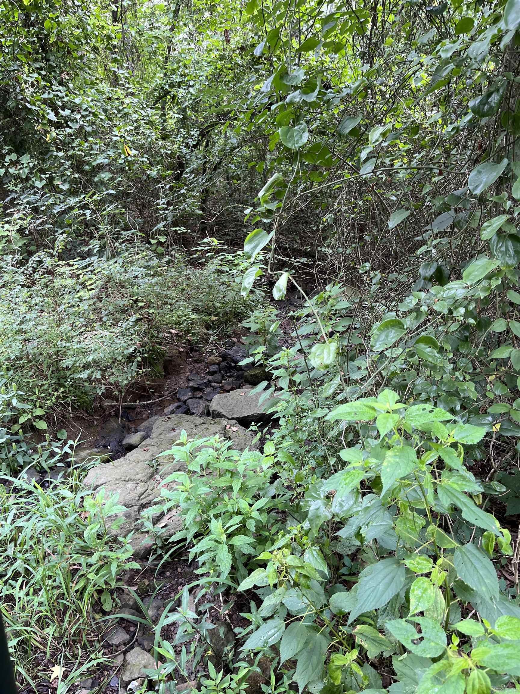 Metes & Bounds - Farm