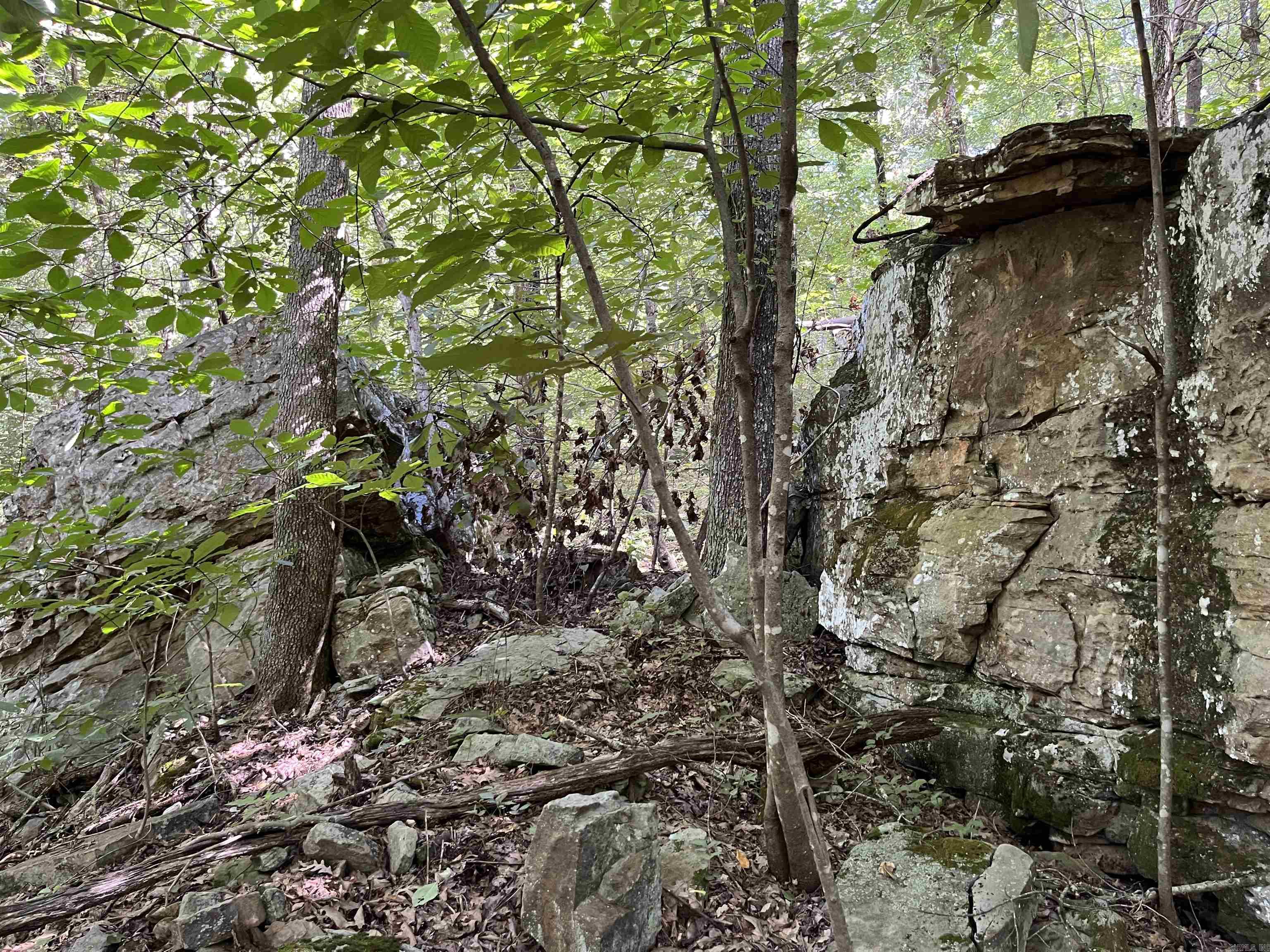 Metes & Bounds - Farm