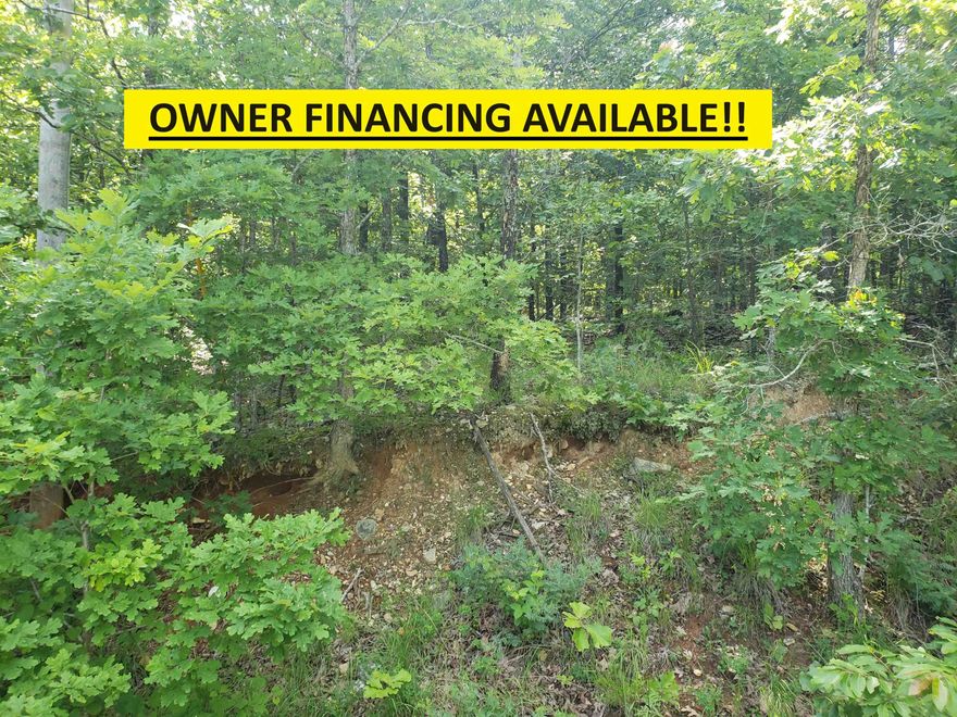 Here is a wonderful, very secluded, wooded lot in the Fulton County side of the Cherokee Village. Great location near Lake Aztec & Omaha and the Omaha Center also not too far from the South golf course as well. With this lot comes access to all the amenities of Cherokee Village such as the seven lakes, the Southfork river and Two 18-hole golf courses. Don't miss your opportunity to own your own little slice of "Heaven on Earth" in beautiful Cherokee Village. Come for a visit and stay for a lifetime.       This lot is 1 of 7 that can be purchased individually for $2500.00, or  purchase all 7 as a package deal for a discounted price of $2136.00 each. ------See Agents Remarks for information on the other 6 lots------   Owner financing is possible with acceptable down payment and terms.  Owners are also open to possible trades.