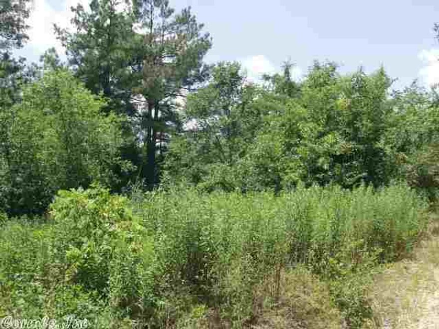 10 acres in great areal..  There are two perfect building sites---one over looking the pond.  About 40% is still in woods if you had rather build in the trees.  Seasonal creek on the north border.  Water and elecrtricty at the road which is paved.