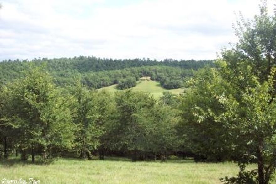 Your own camping retreat!  Mountain views surround the property bordered by a creek w/mixture of pasture & woods. Take a stroll beneath the canopy of trees through your private forest. Many trails for you to choose from for your recreational pleasure. Barn has a built in bed, tub, & water heater. This makes for relaxing convenience after a day of play. Rural water. Partial fenced. Concrete parking slab. Numerous building sites to choose from on this 22.65 acres.