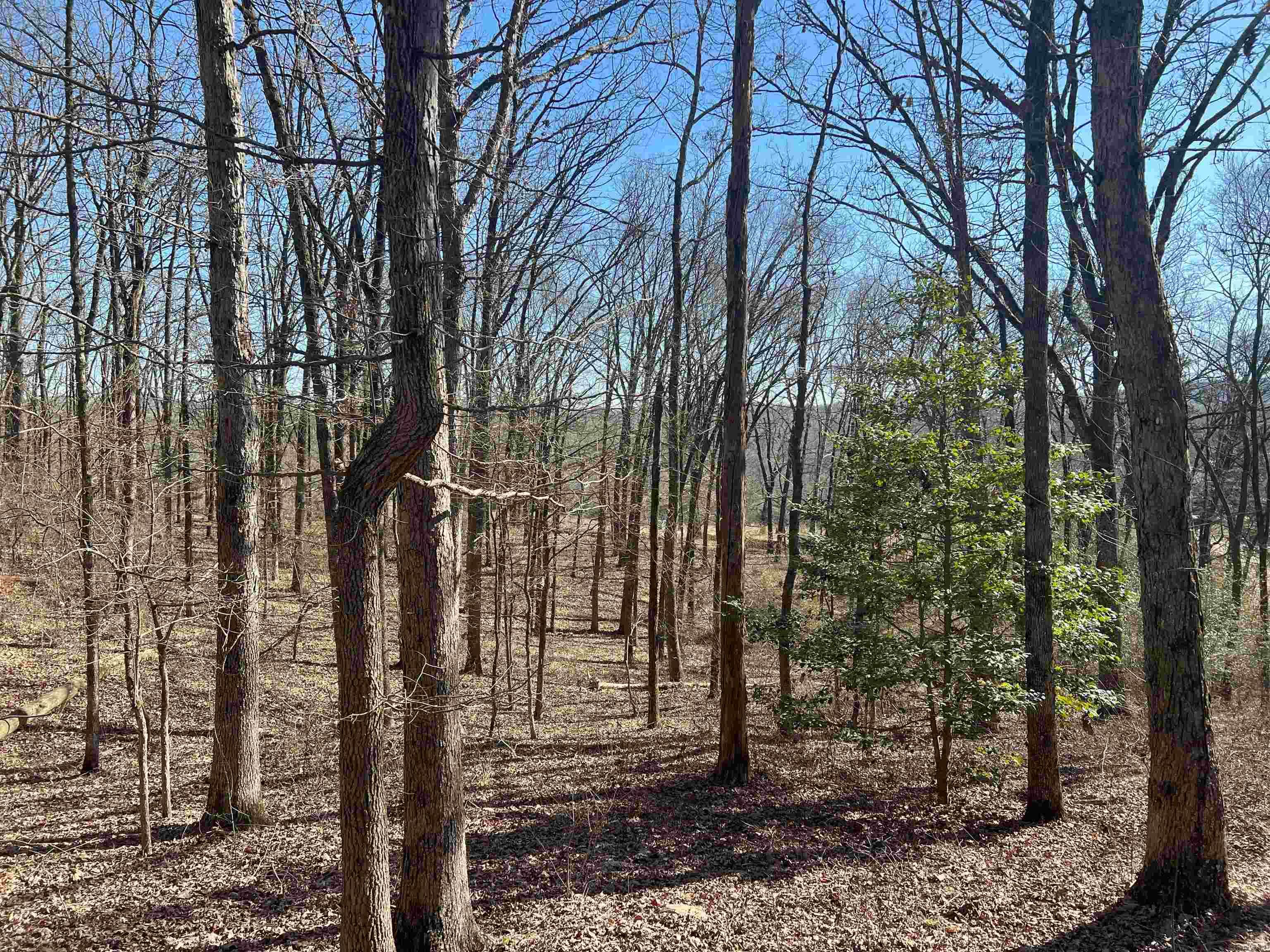 Metes & Bounds - Land