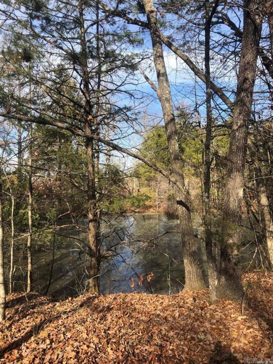 Here is prime hunting property or the place you can build your dream home. Has a clear spring fed pond to stock your favorite fish in. Property has a utility easement so that power is available. Would need to dig a well. Close enough to town for convenience but also far enough out for your privacy.