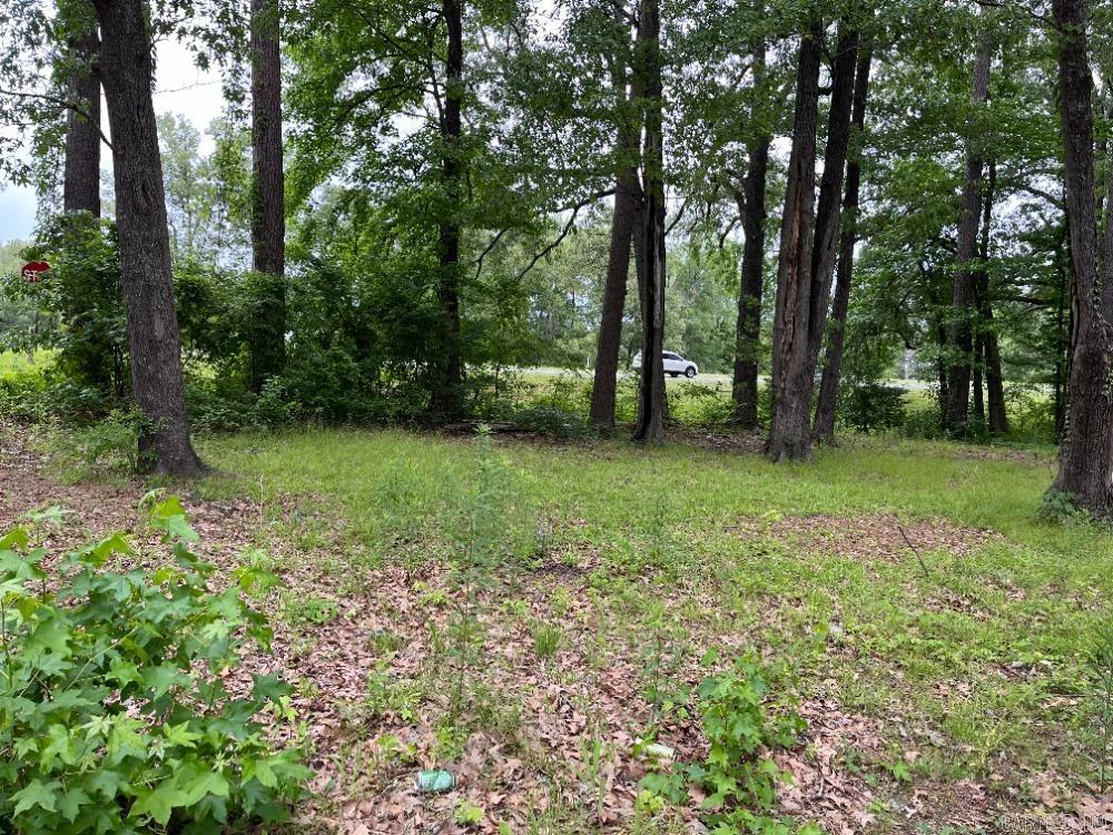 Nice flat lot to build your forever home. Location of the property is very convenient and within a few miles of the grocery store, Wal-Mart & restaurants.