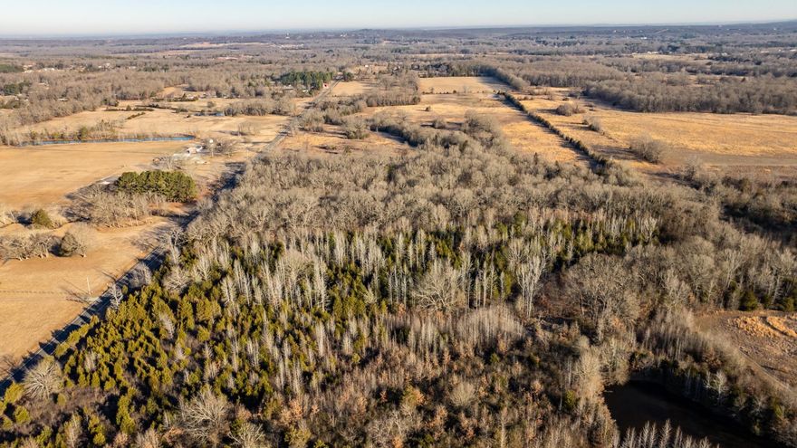 Looking to build your dream home on large, hard to find lots convenient to everything?  Discover these 5-7.5-acre level lots partially cleared, but with beautiful trees for endless possibilities. You don't want to miss the chance to build in a country setting but close to city amenities.  Pictures coming soon