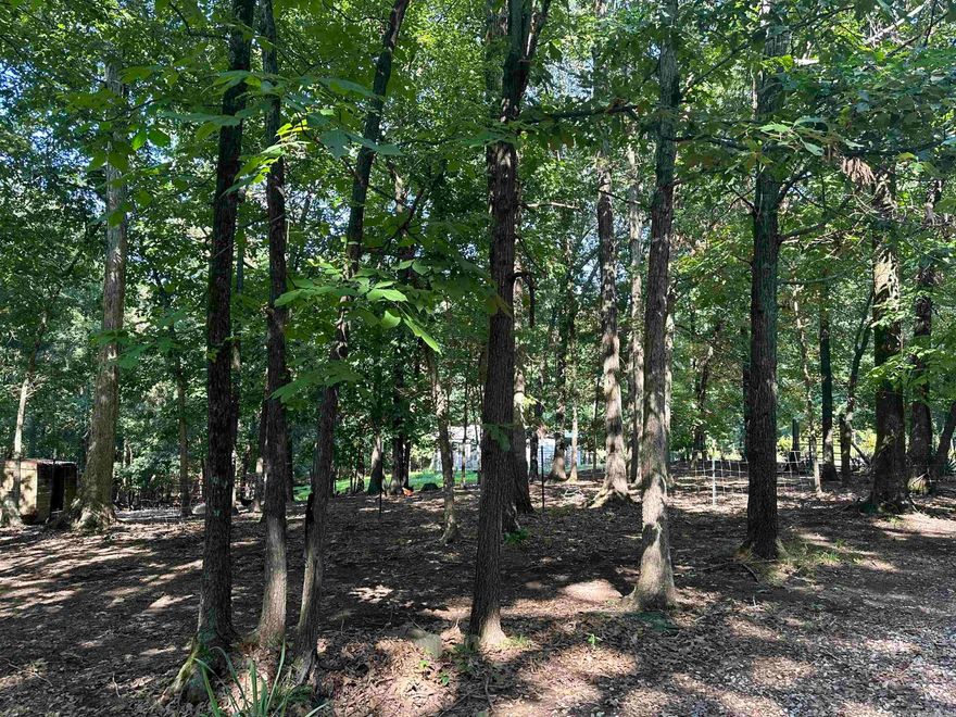 This 1440 Sq Ft home with 2 Bedrooms and 1 Bath sits on 4 acres (approx 2, wooded). The attached carport is oversized and can hold 2 large trucks! Are you looking for a quiet, county setting ??? Here it is! 30x30 Shop with concrete floors and electricity as well as another 16X40 building (currently used as a dog kennel/boarding area). Open Kitchen/Dining/Living area with a Breakfast Bar!  SAFE ROOM off Primary Room !! Covered BBQ Area PERFECT for entertaining and COOK-OUTS!!! EXTRA FEATURES: Apples Trees, Figs, Blackberries, and Herbs!! Also a Cedar Garden Shed, Additional Storage in Attic and a LARGE Bookcase behind the door in Primary Bedroom!!!!New roof installed Fall 22'! AGENTS SEE REMARKS!