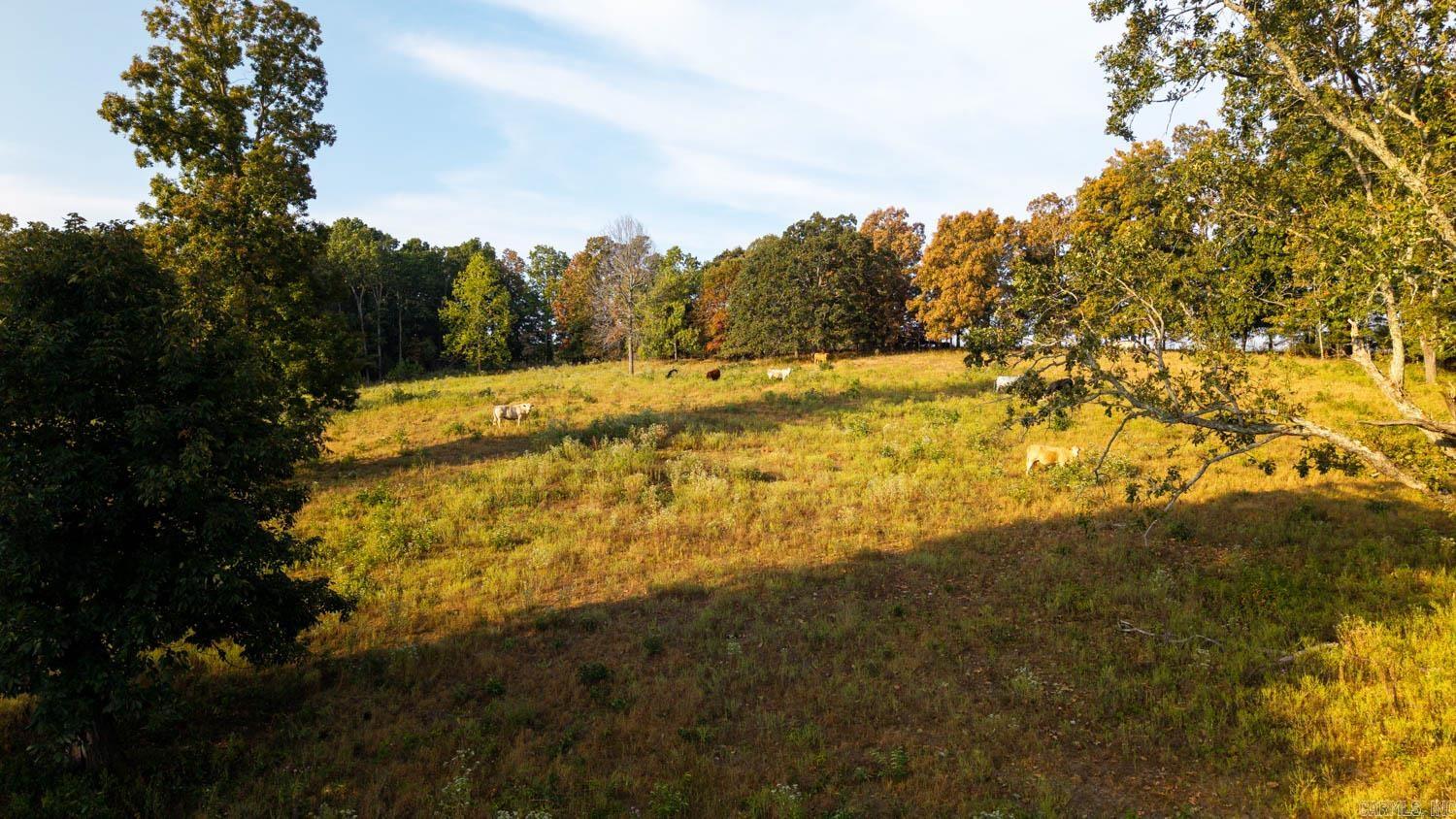 Not in Subdivision - Land