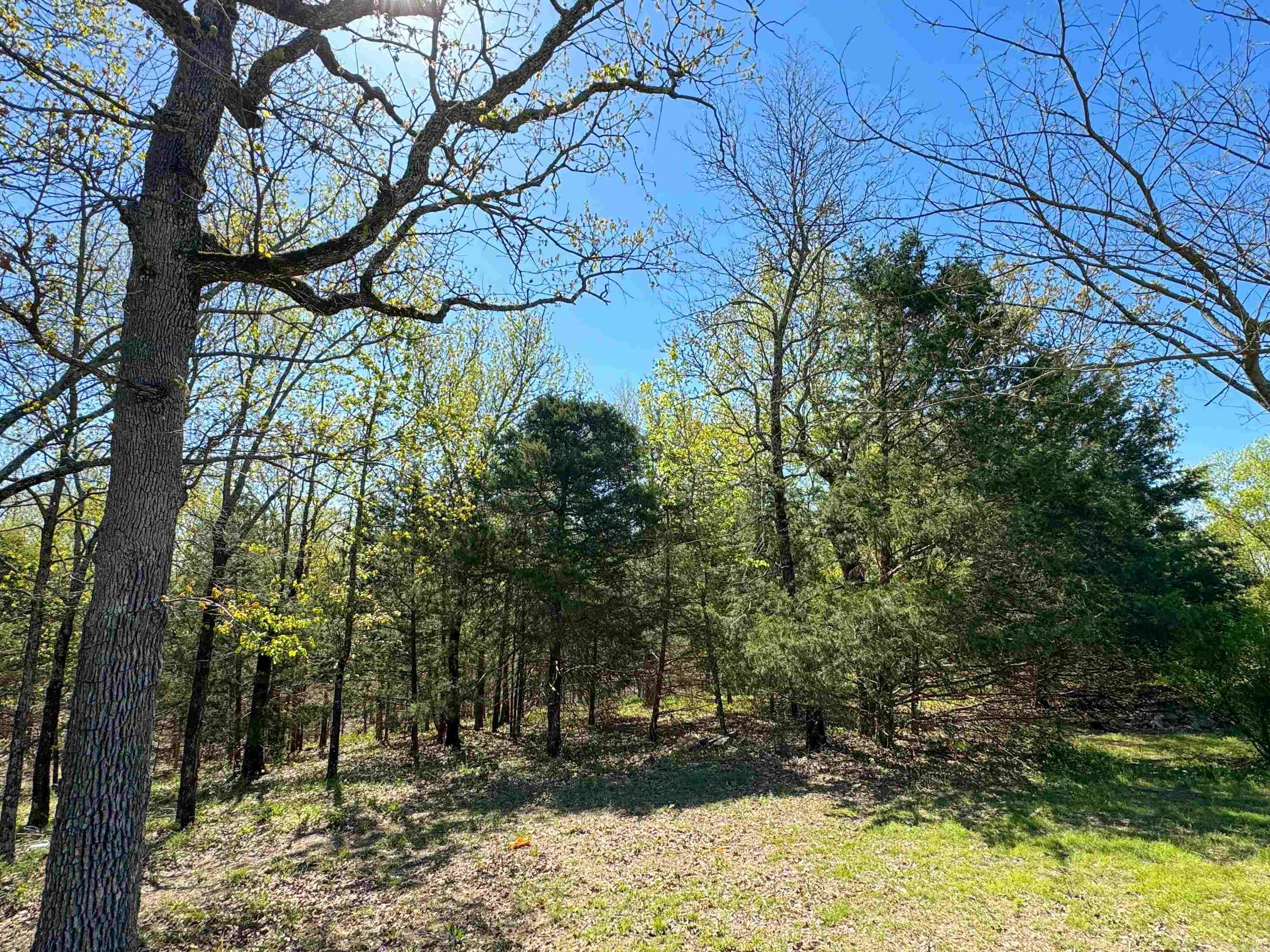 MILL CREEK EST - Residential