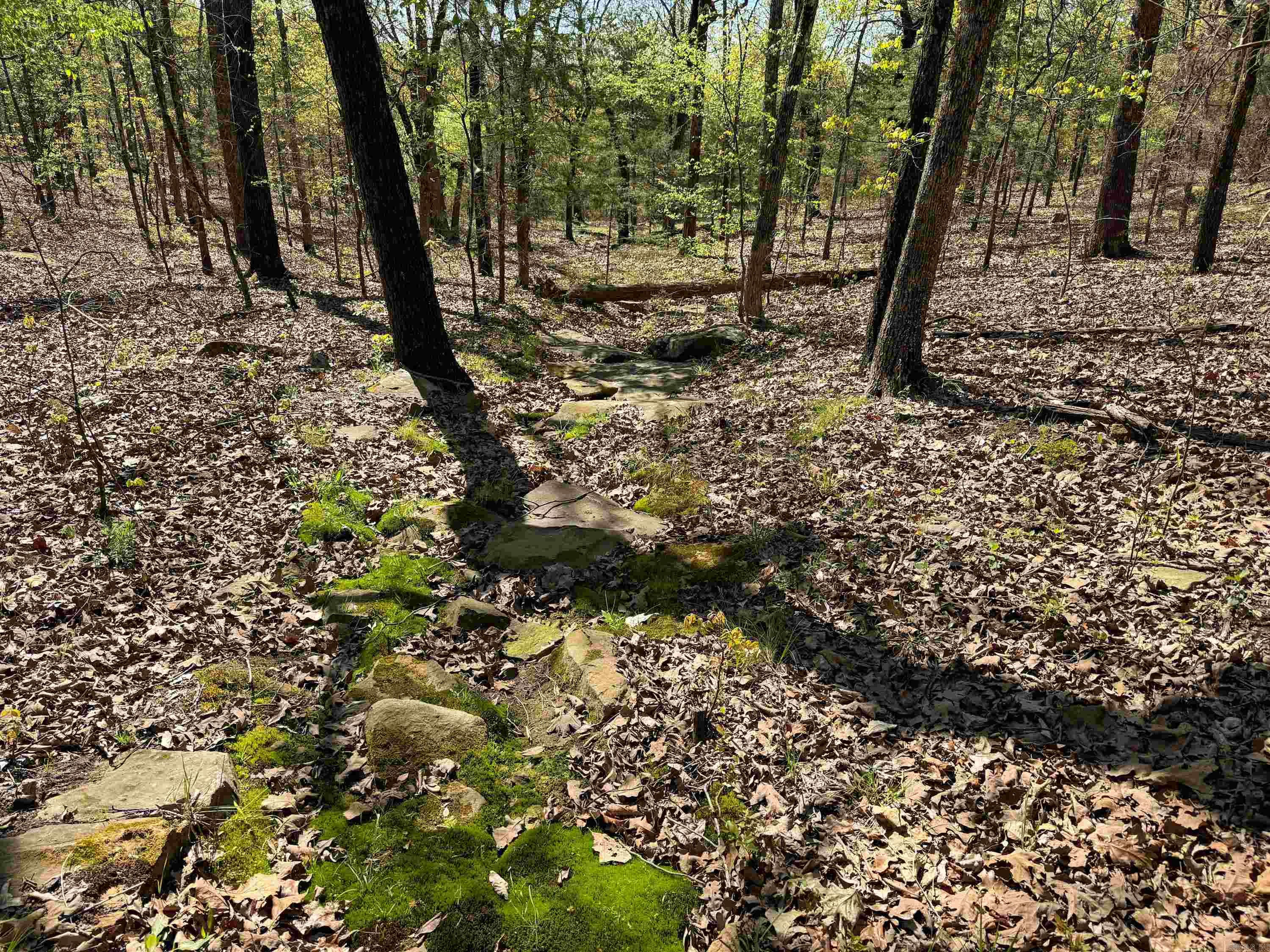 MILL CREEK EST - Residential