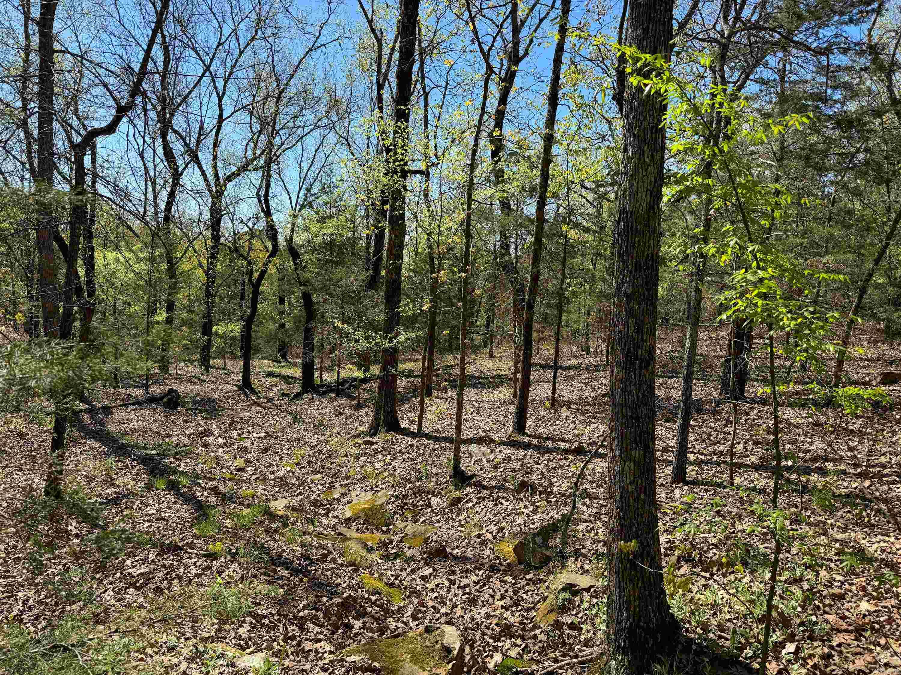 MILL CREEK EST - Residential