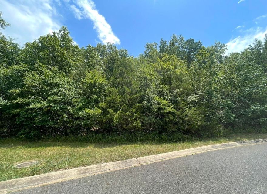 Great lot in The Hills Subdivision. Lot #36. There are three other lots available as well. 37, 17, & 9.