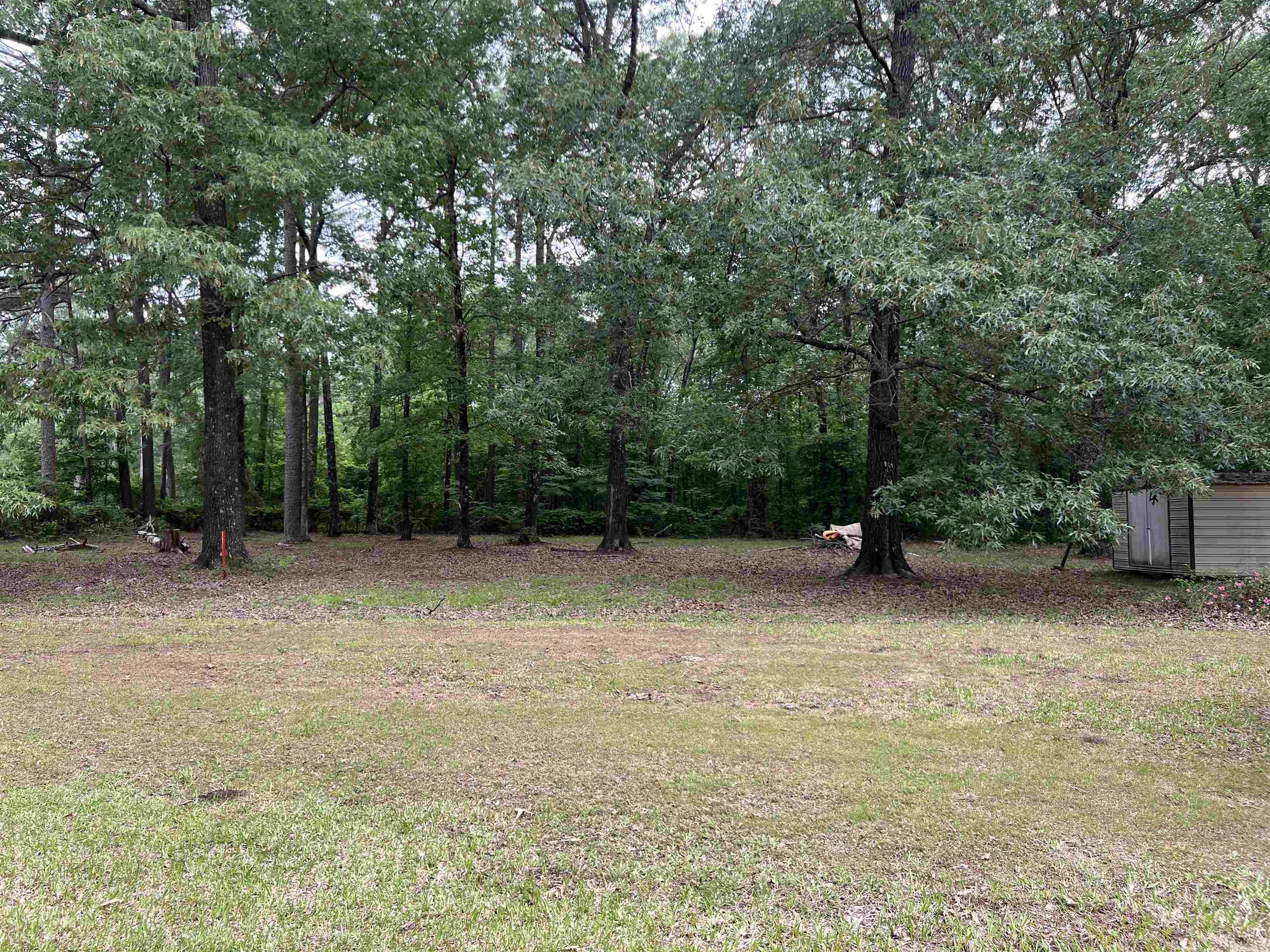 Meadowood #3 - Residential