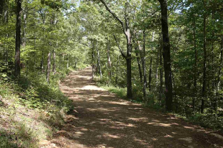 120 ACRES OF RURAL RECREATIONAL HUNTING LAND