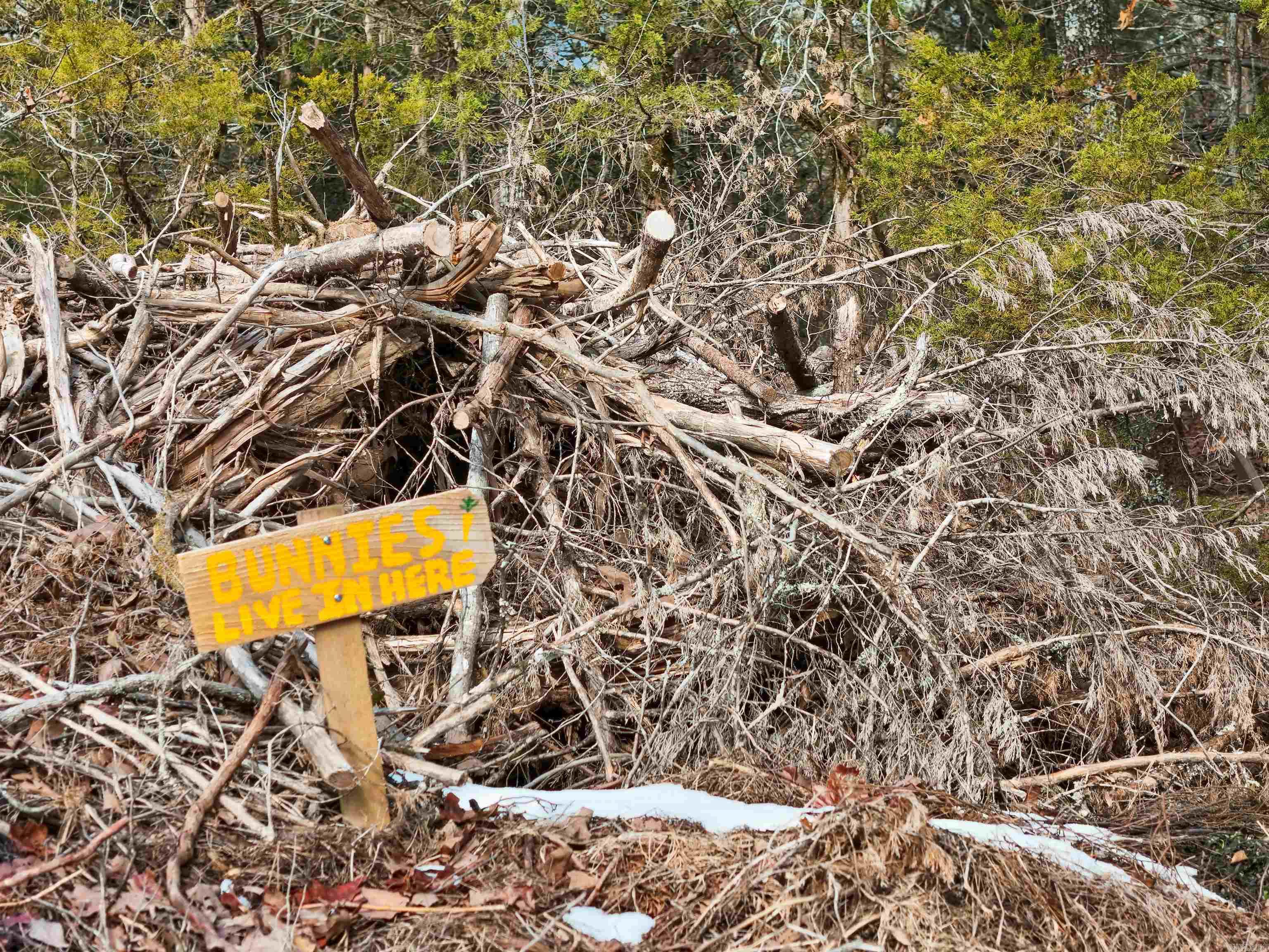 WILDERNESS ESTATES - Residential