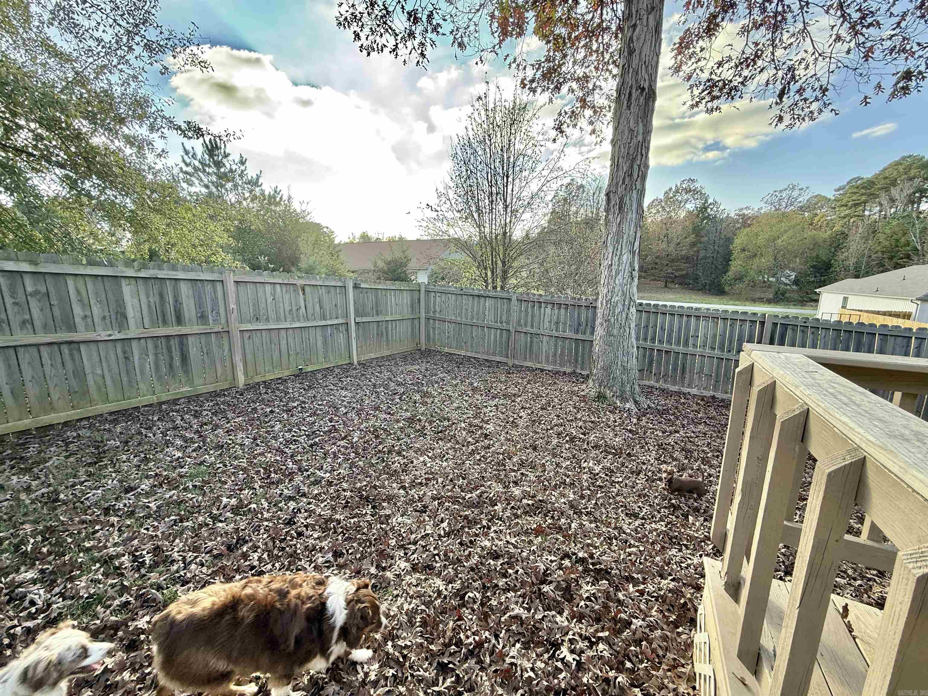 HORTON HILLS - Residential