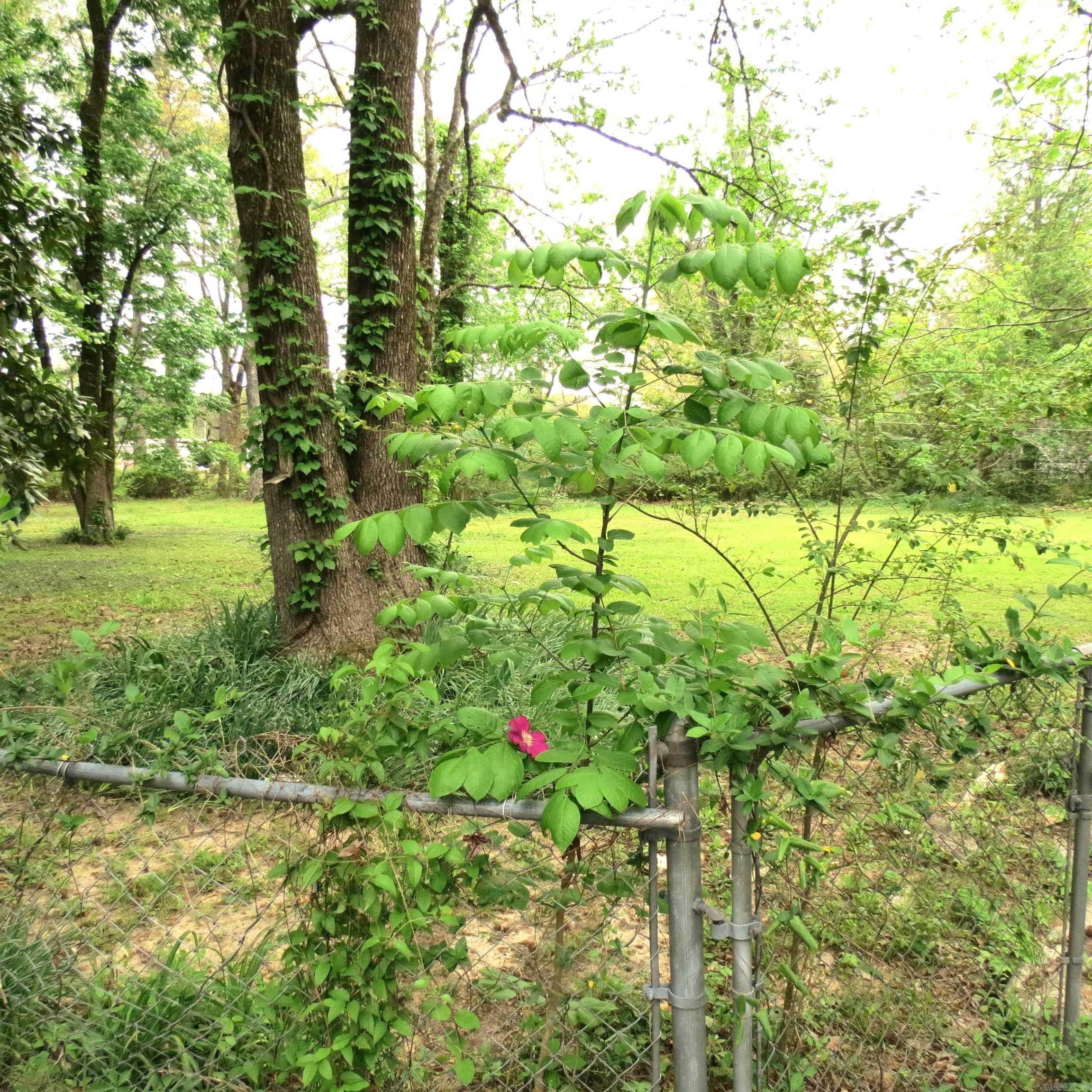 OAK LAWN ESTATES - Residential