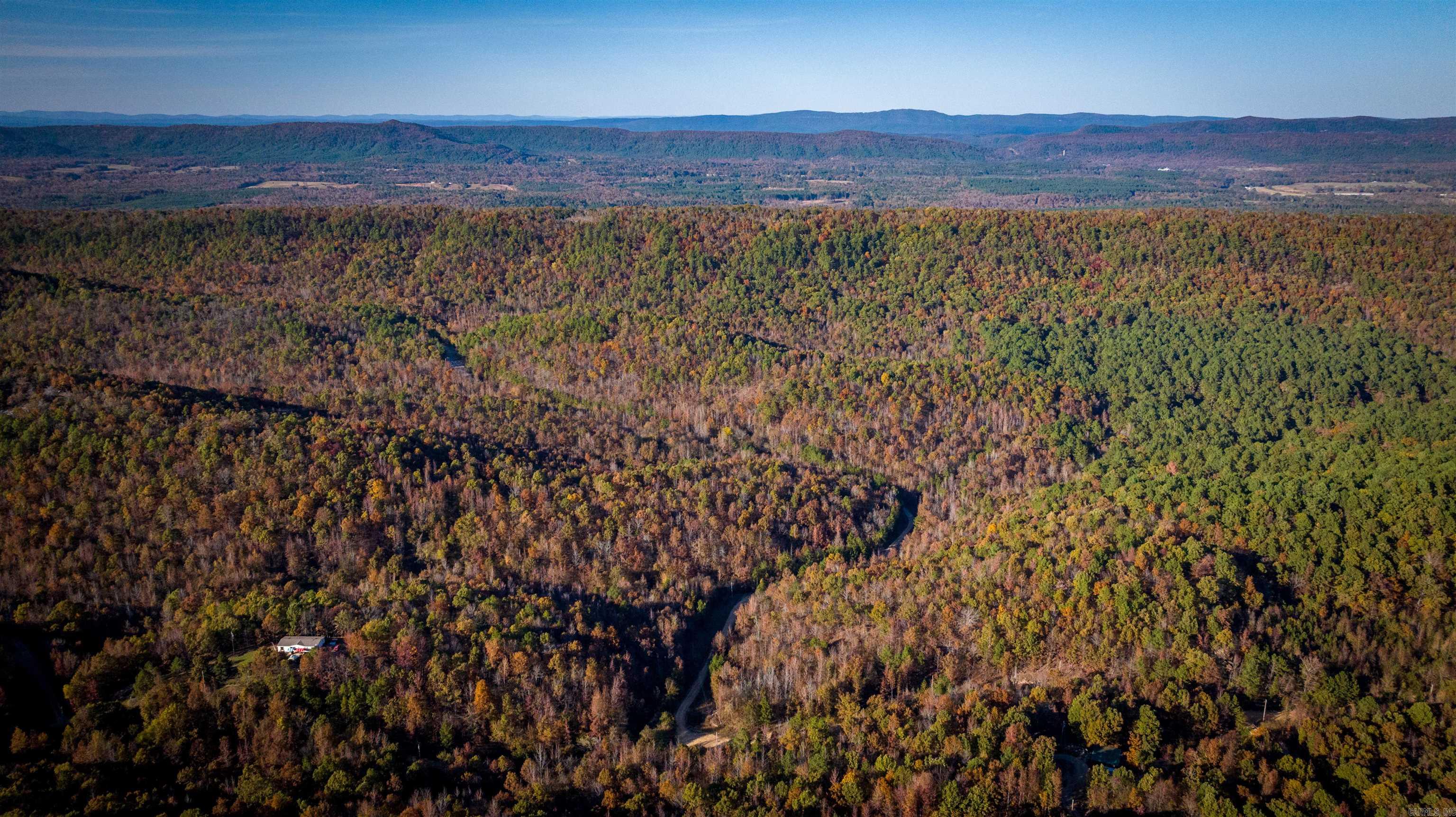 Camilla Springs - Farm