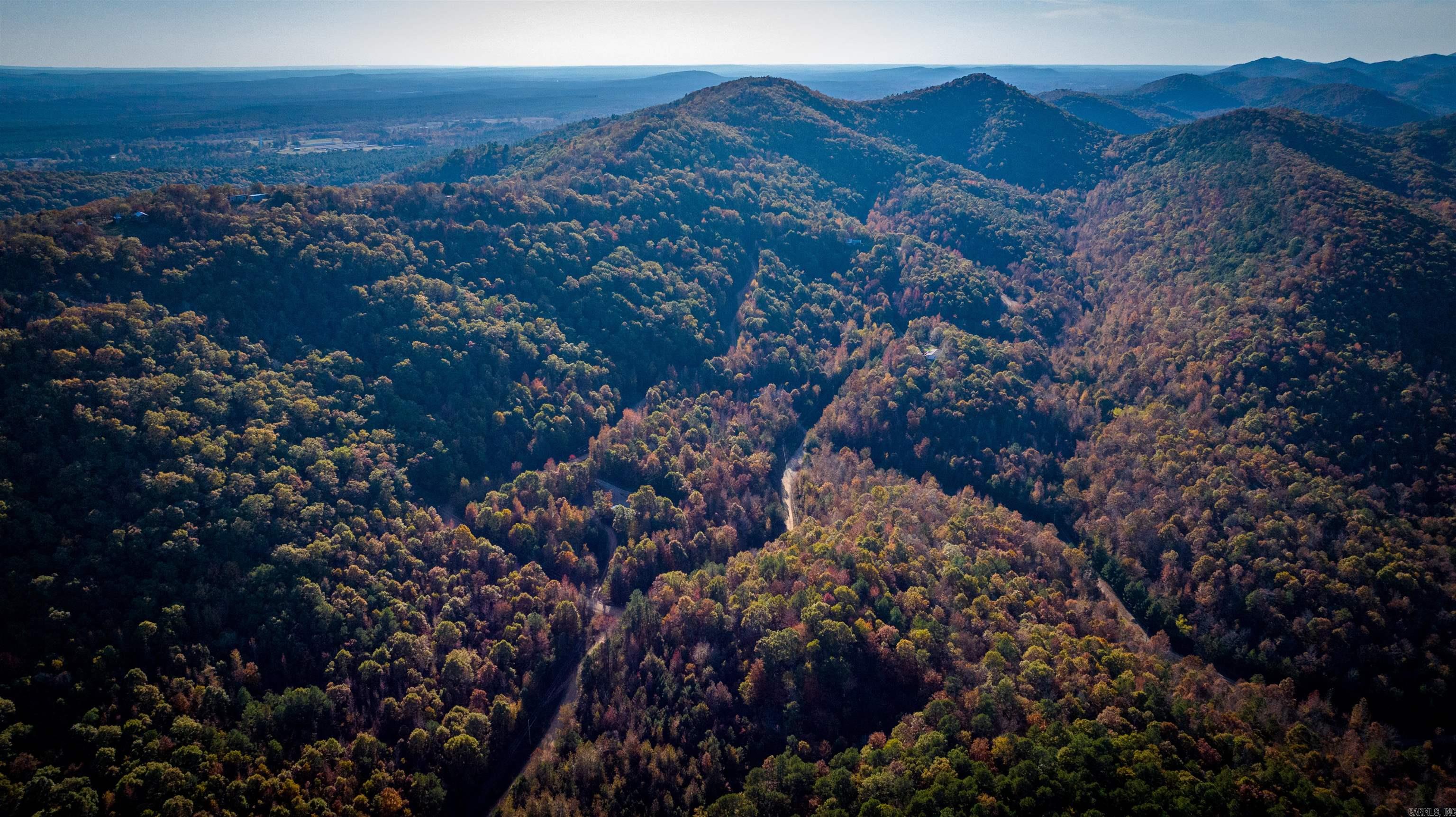 Camilla Springs - Farm
