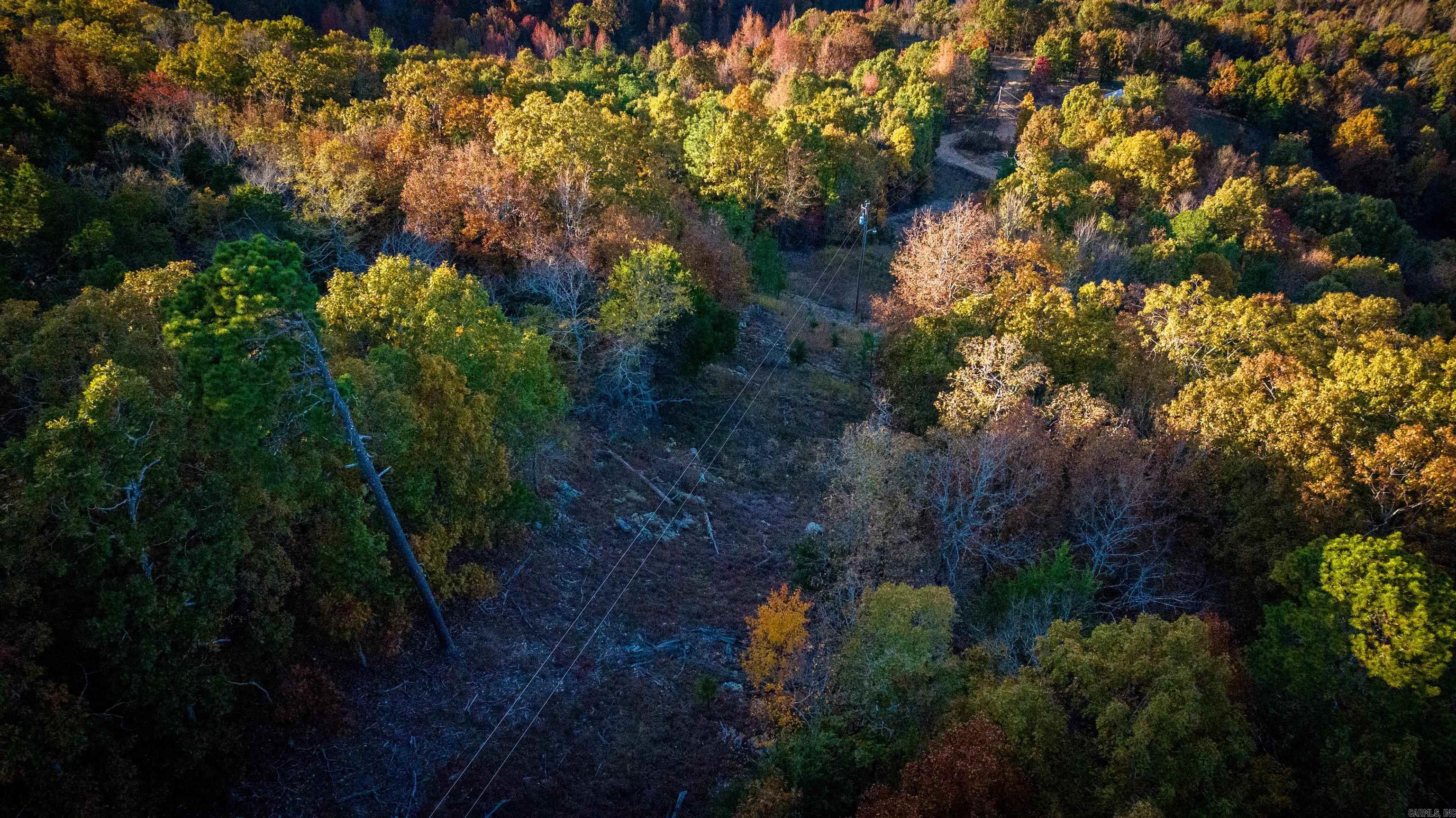 Camilla Springs - Farm