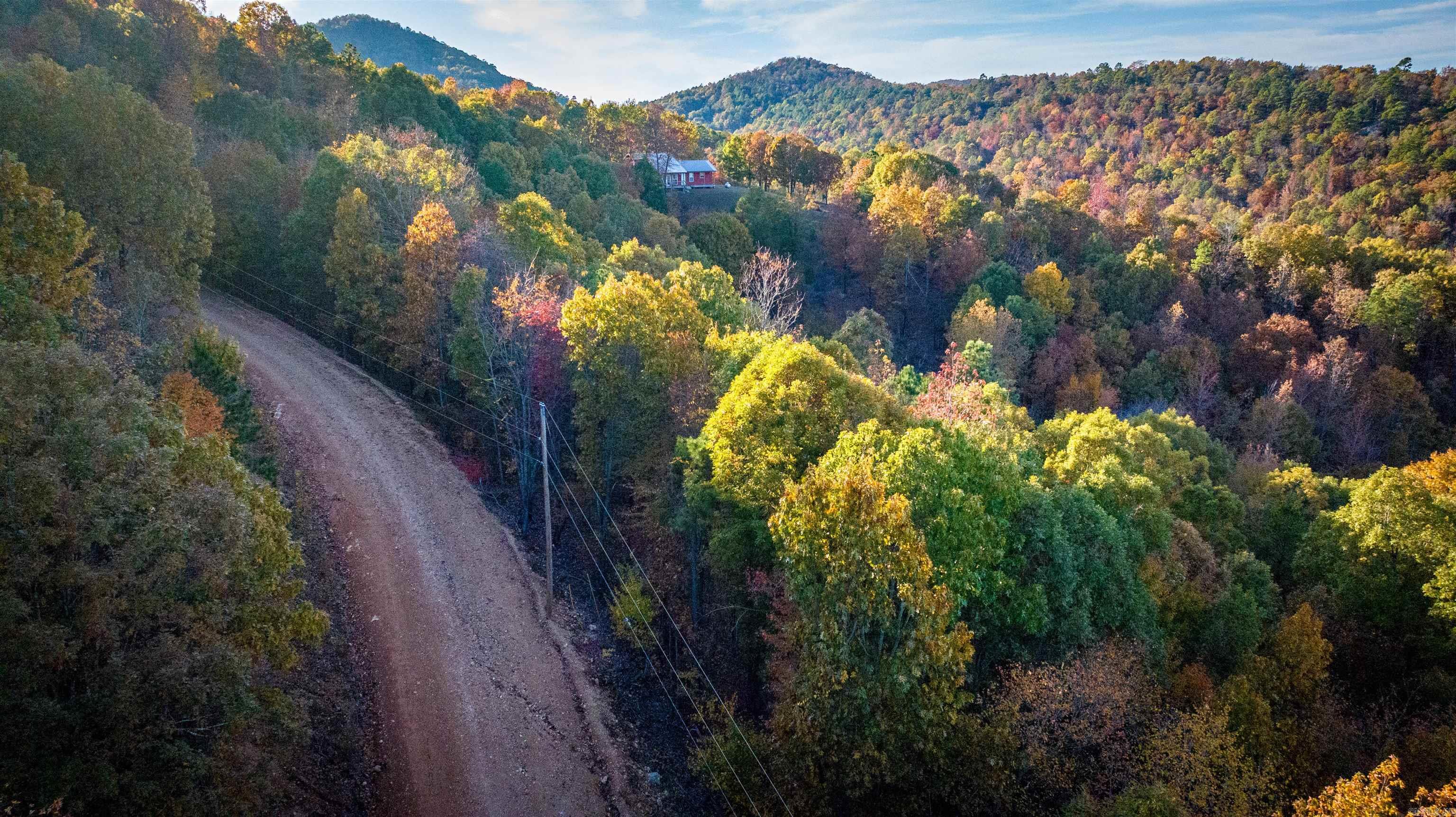 Camilla Springs - Farm