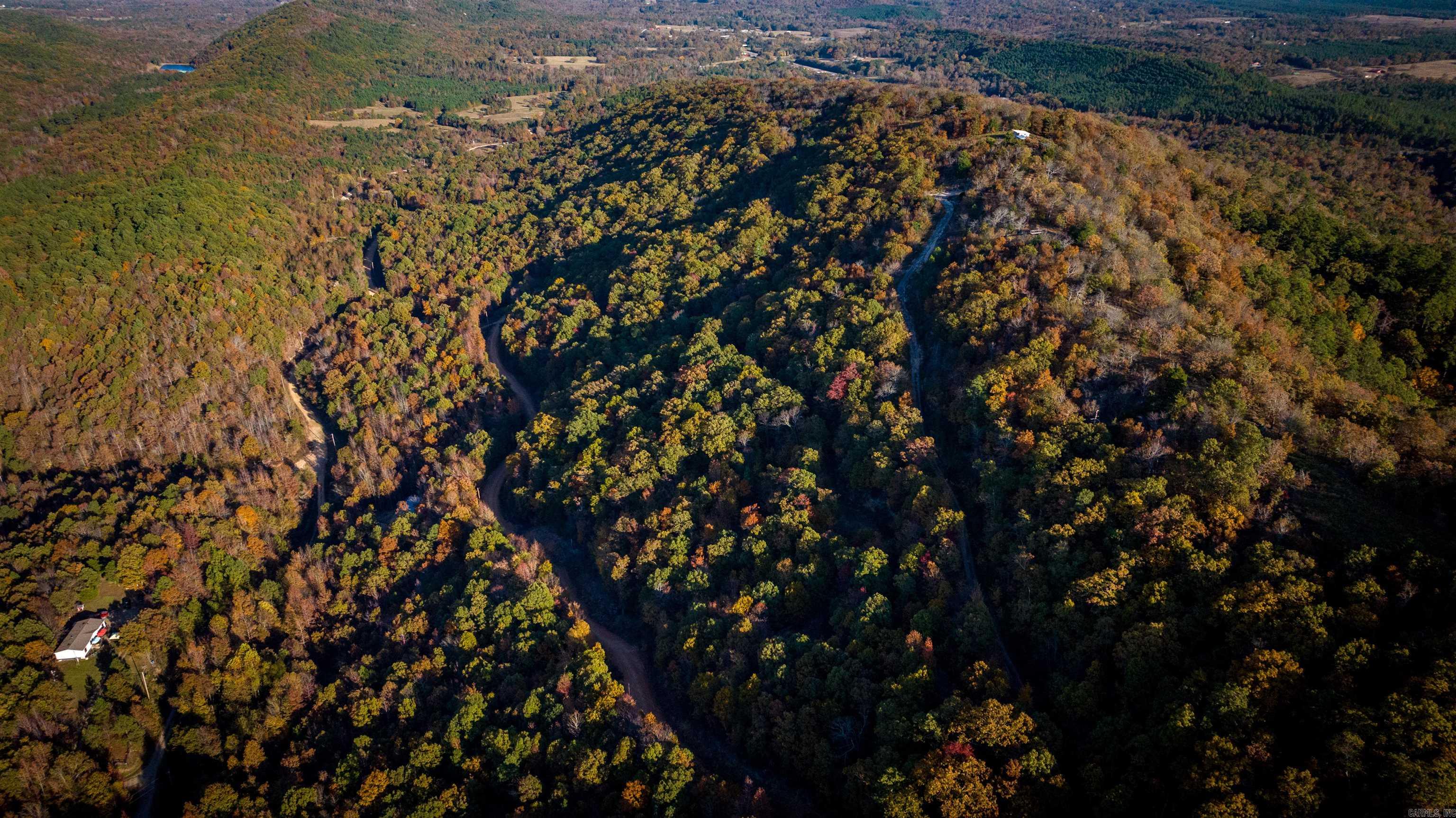 Camilla Springs - Farm