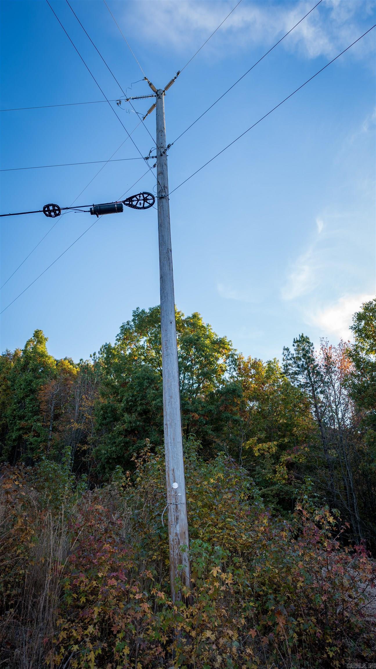 Camilla Springs - Farm