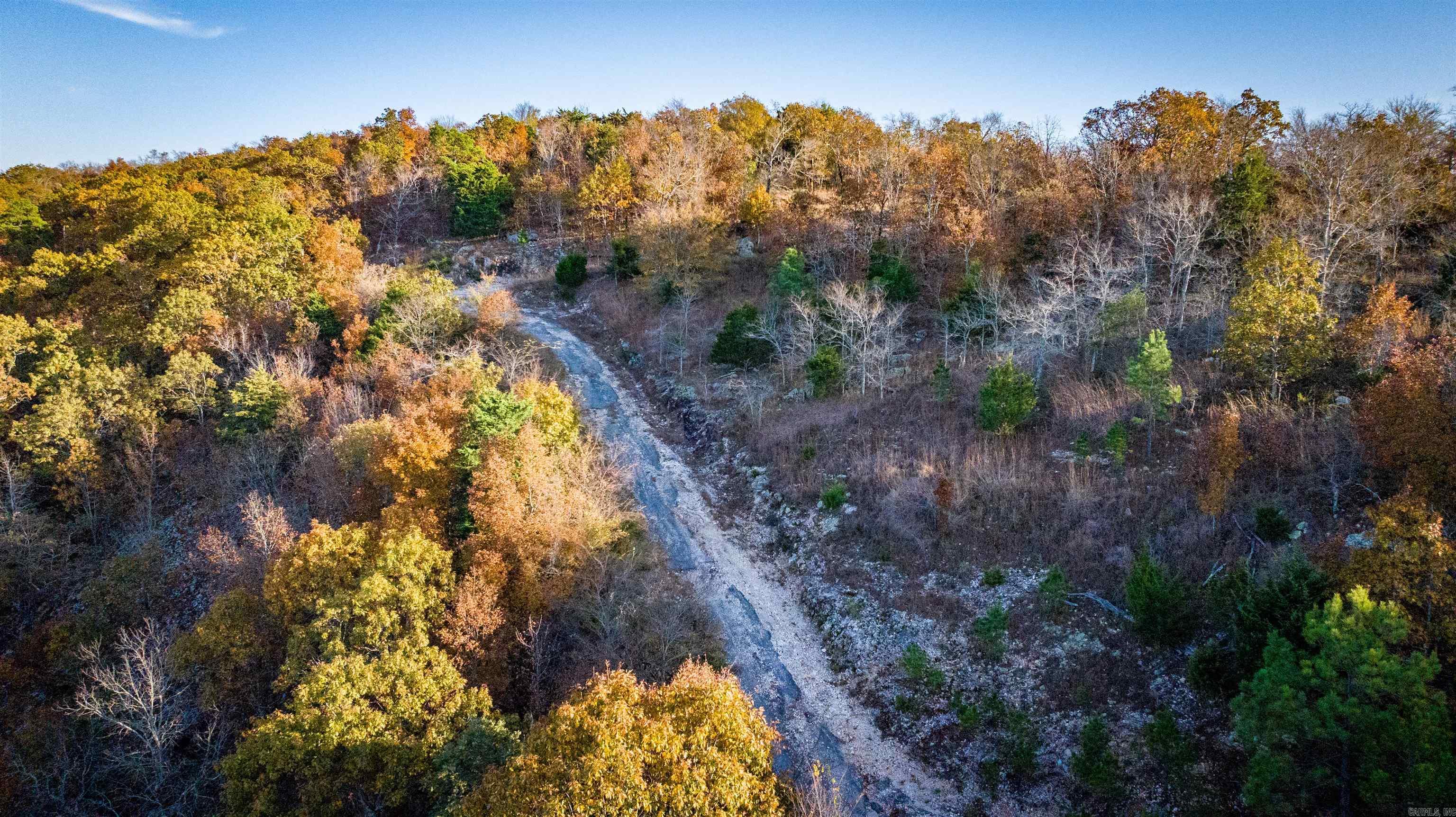 Camilla Springs - Farm