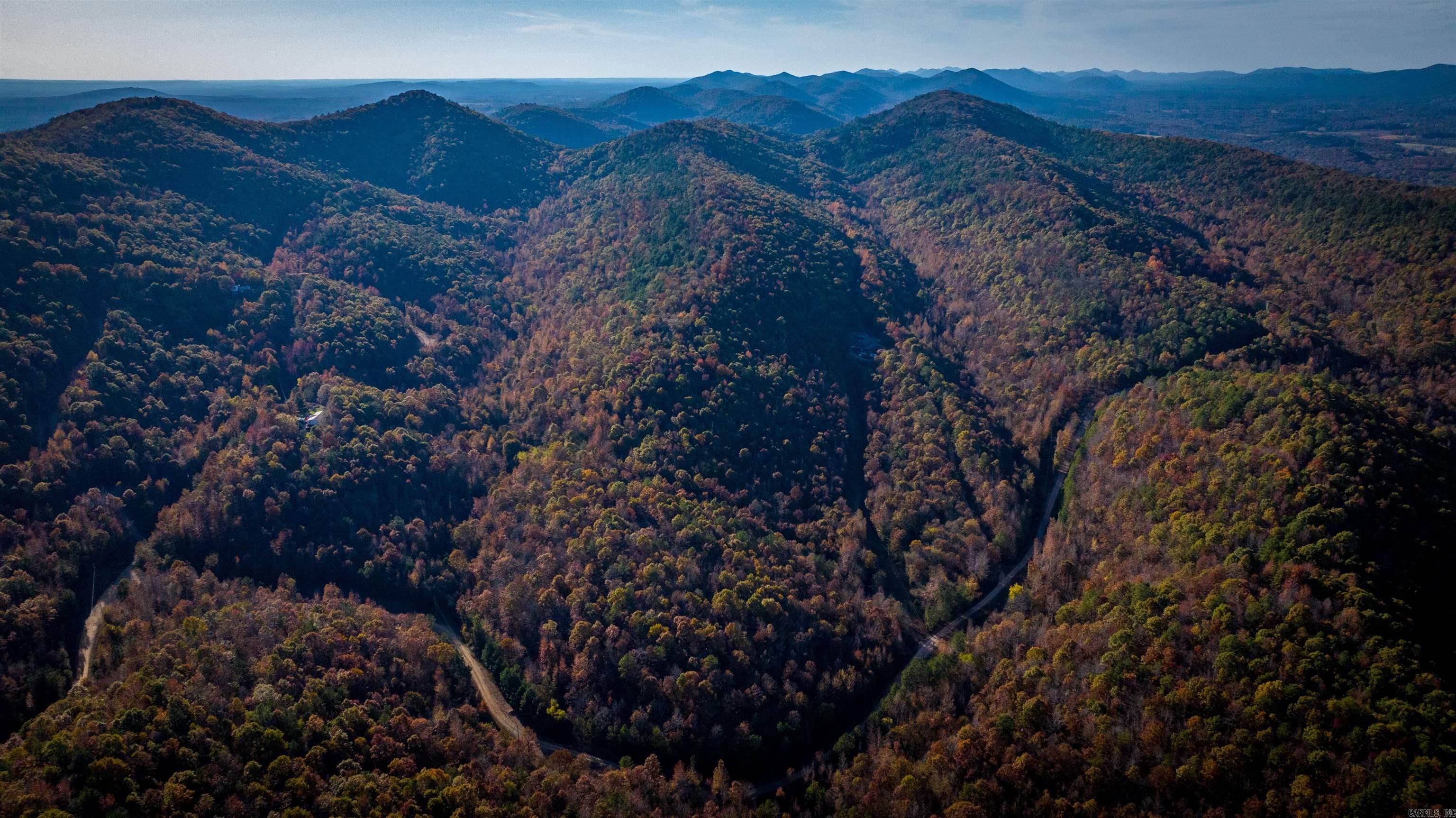 Camilla Springs - Farm