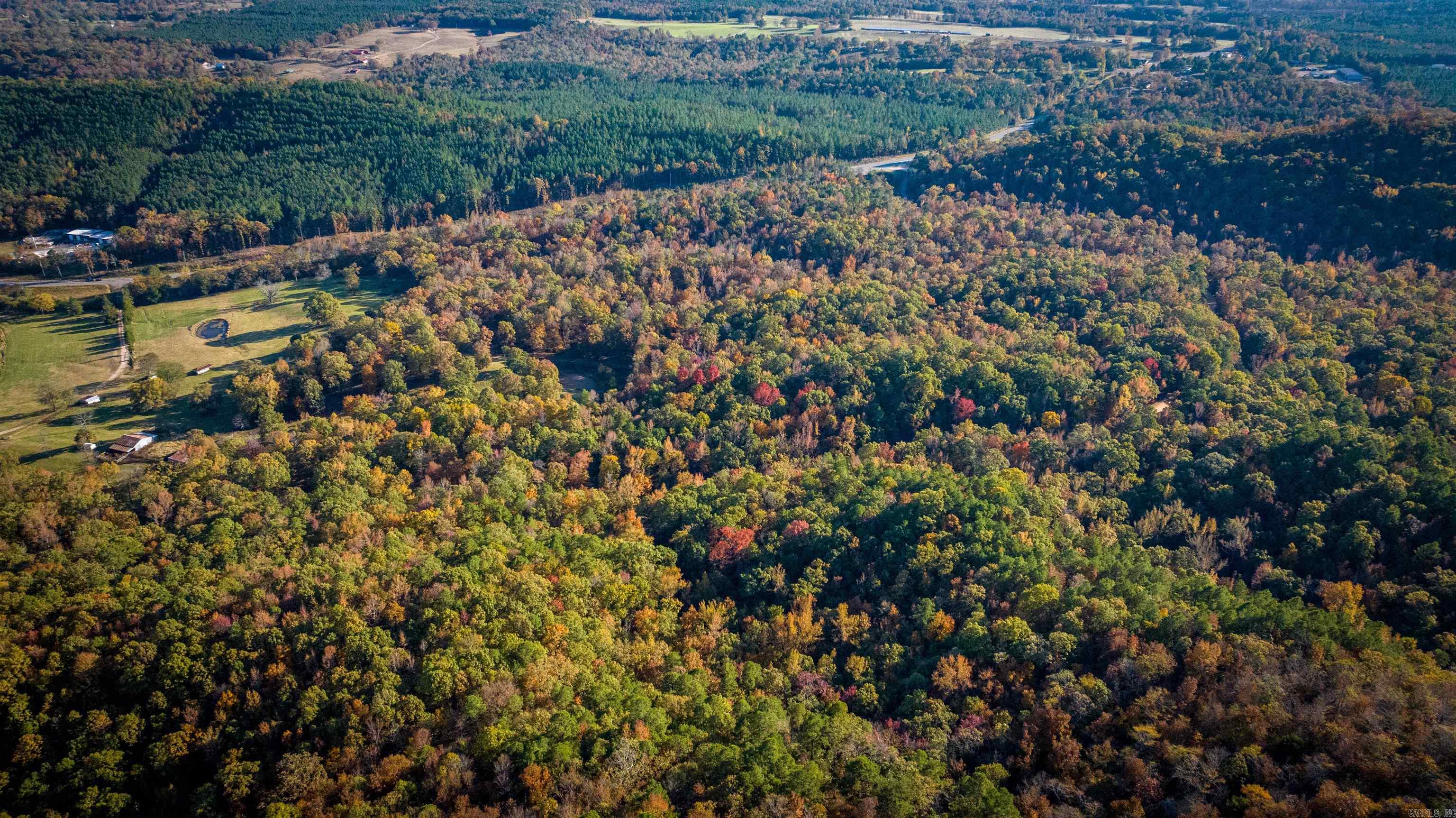 Camilla Springs - Farm