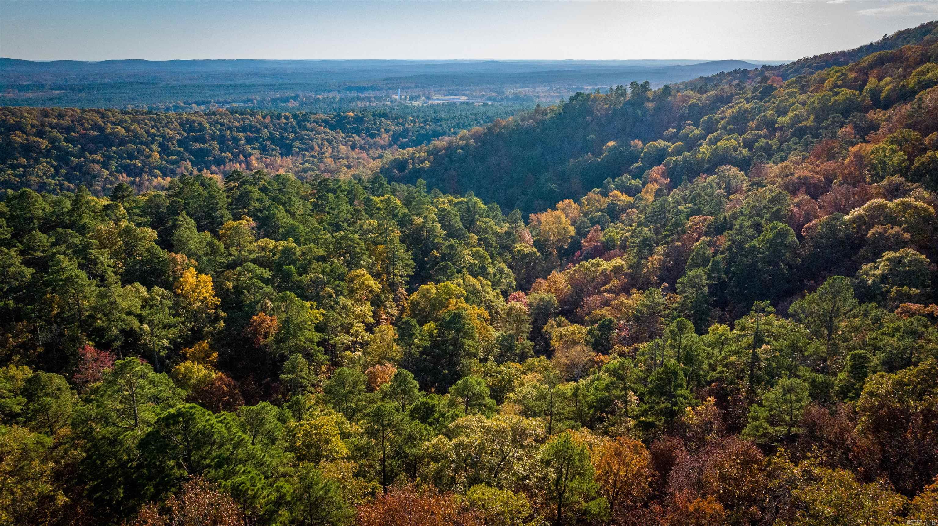 Camilla Springs - Farm