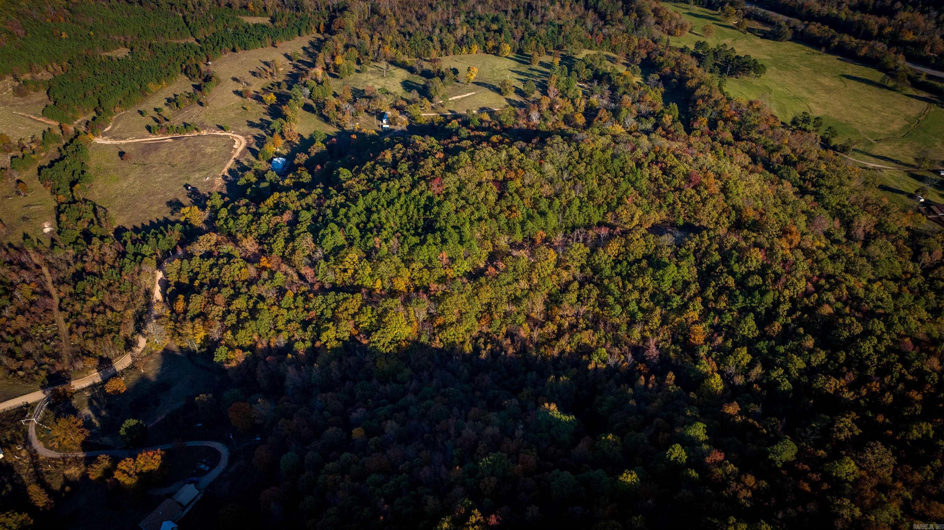 Camilla Springs - Farm