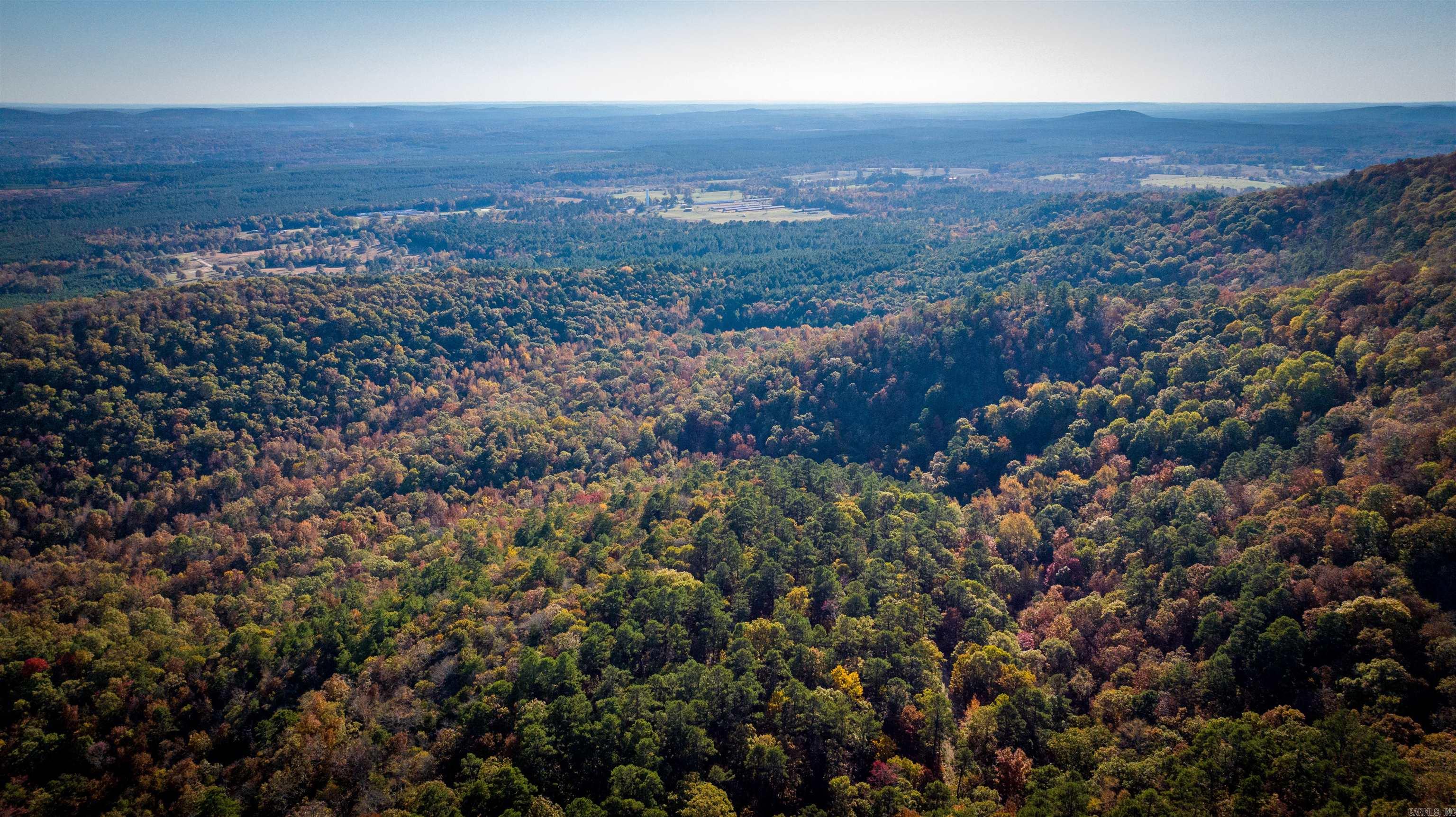 Camilla Springs - Farm
