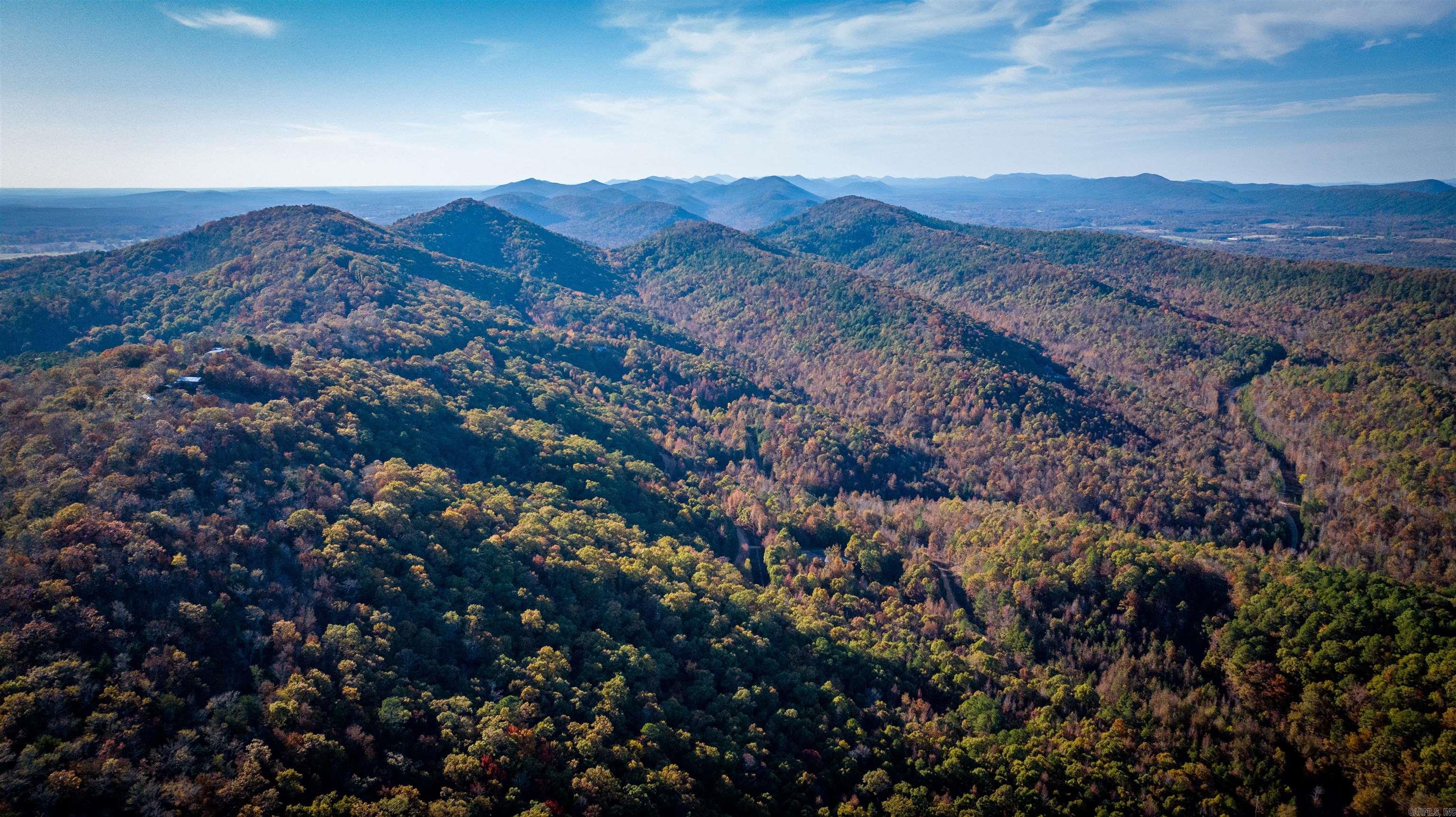 Camilla Springs - Farm