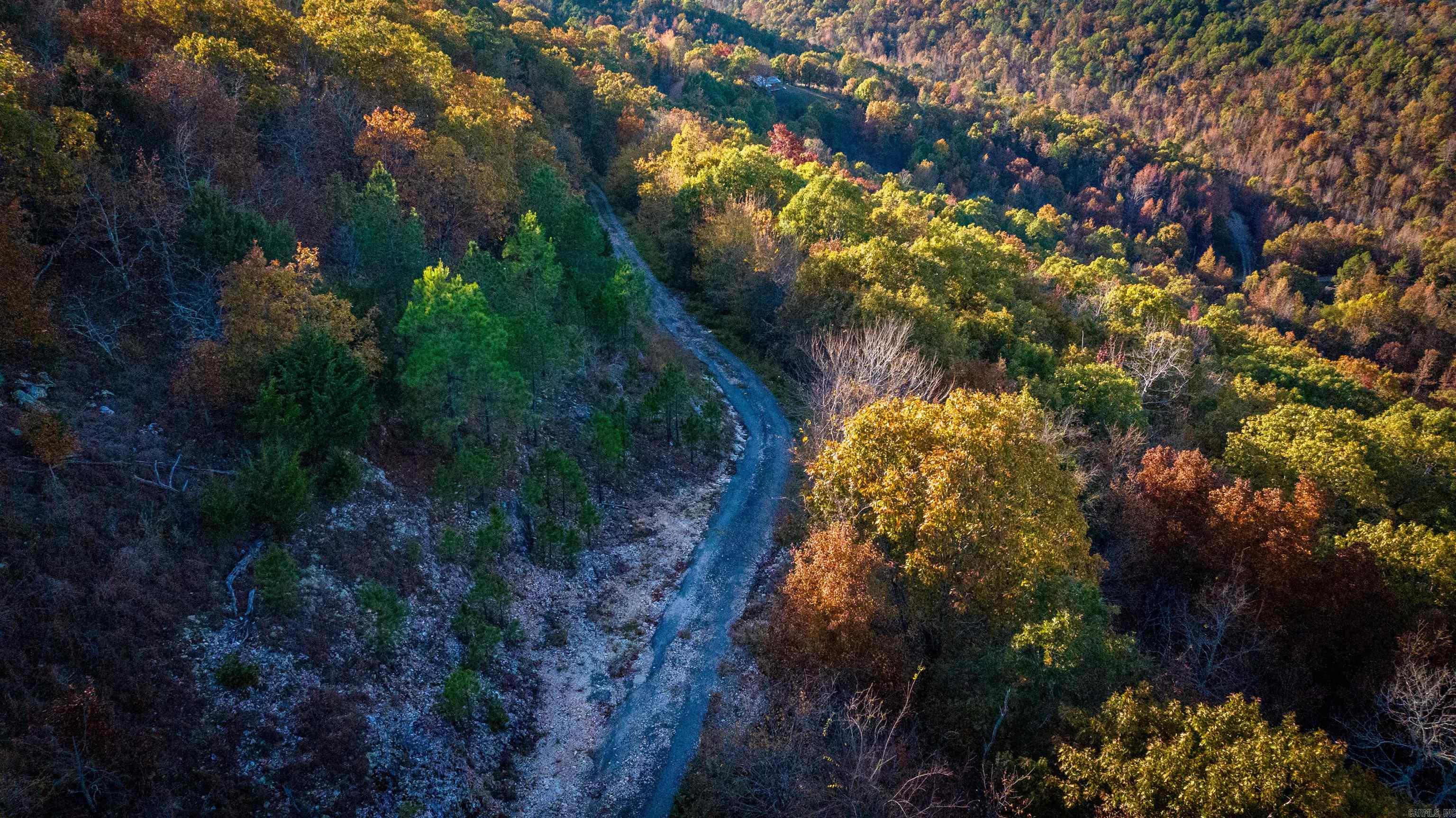 Camilla Springs - Farm
