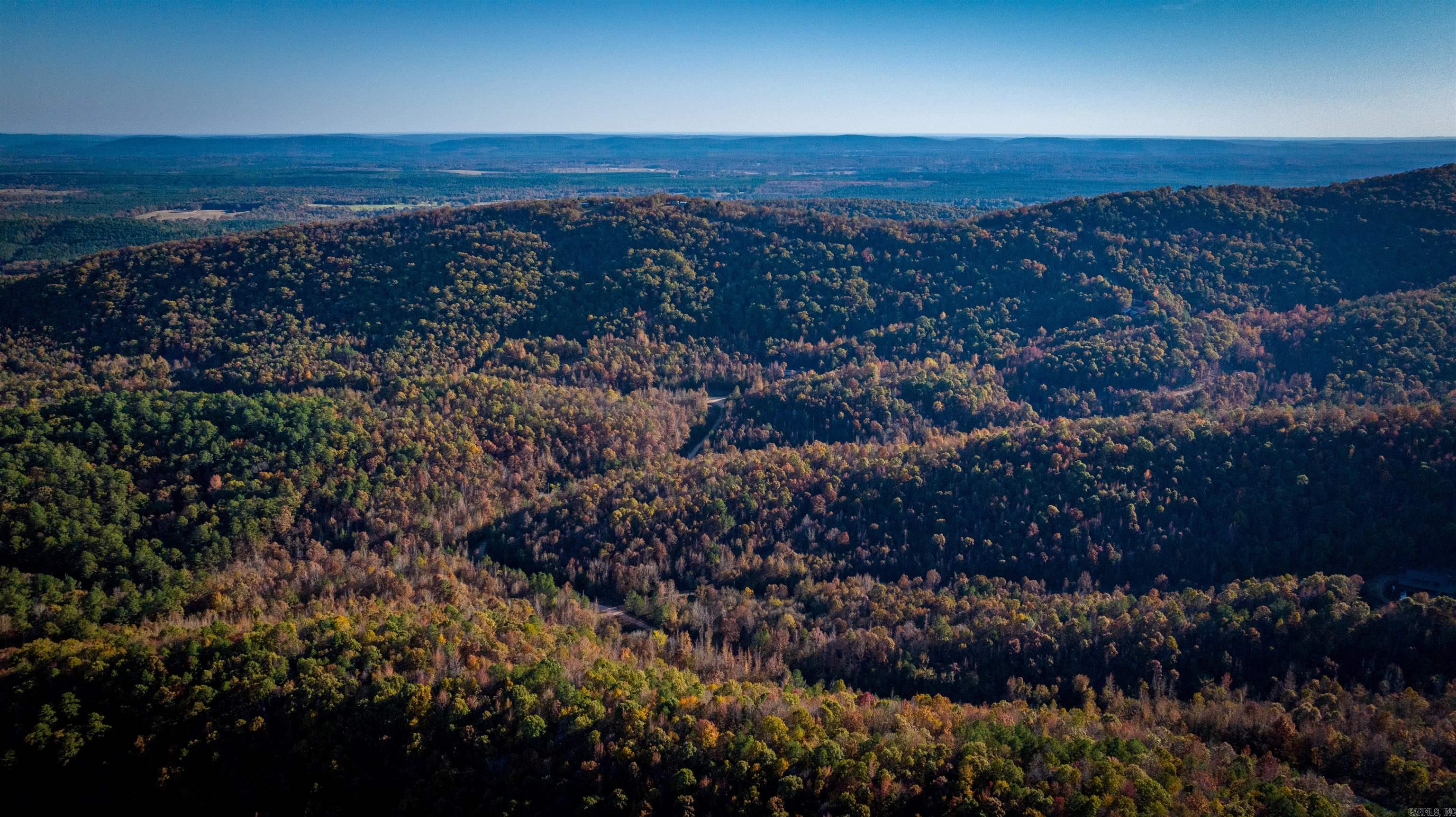 Camilla Springs - Farm