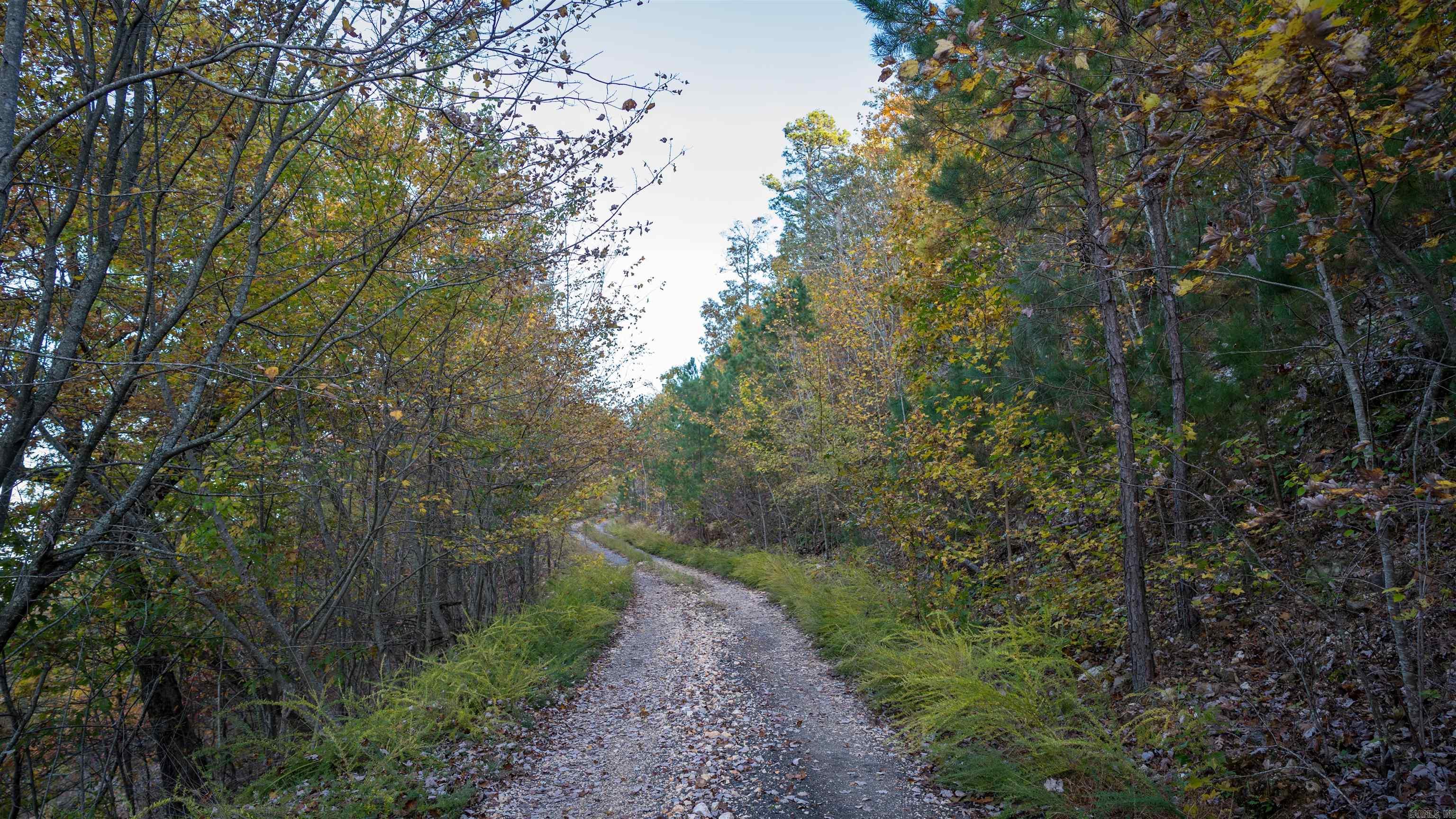 Camilla Springs - Farm