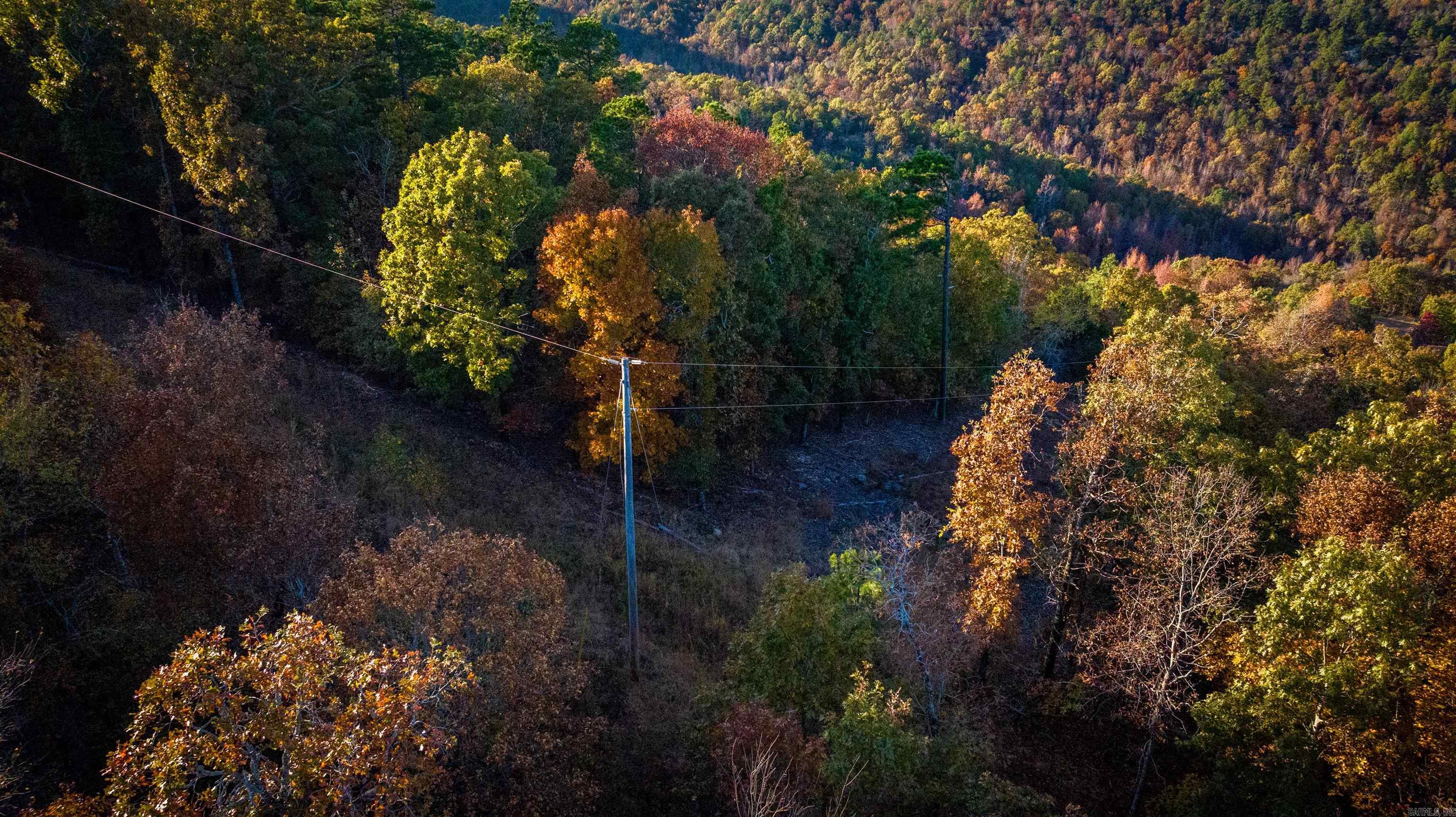 Camilla Springs - Farm