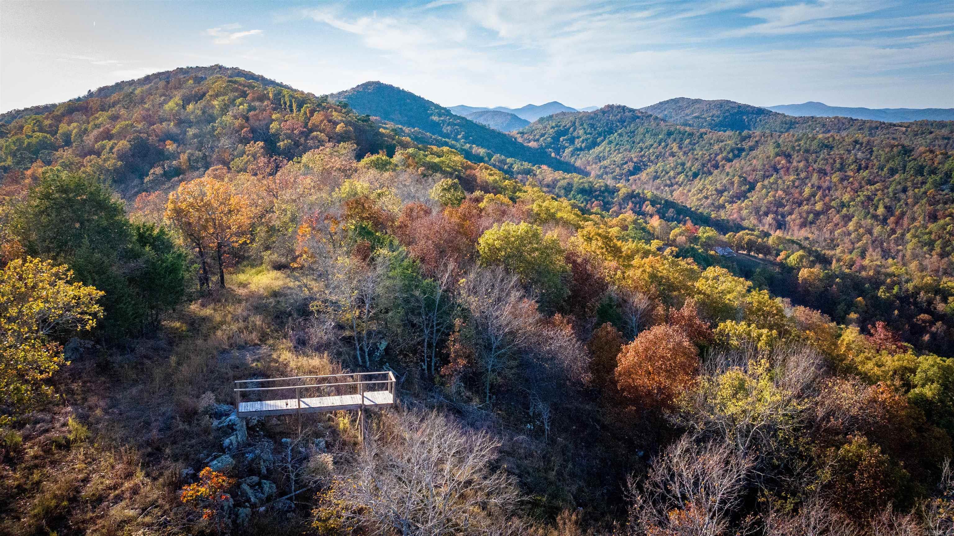 Camilla Springs - Farm